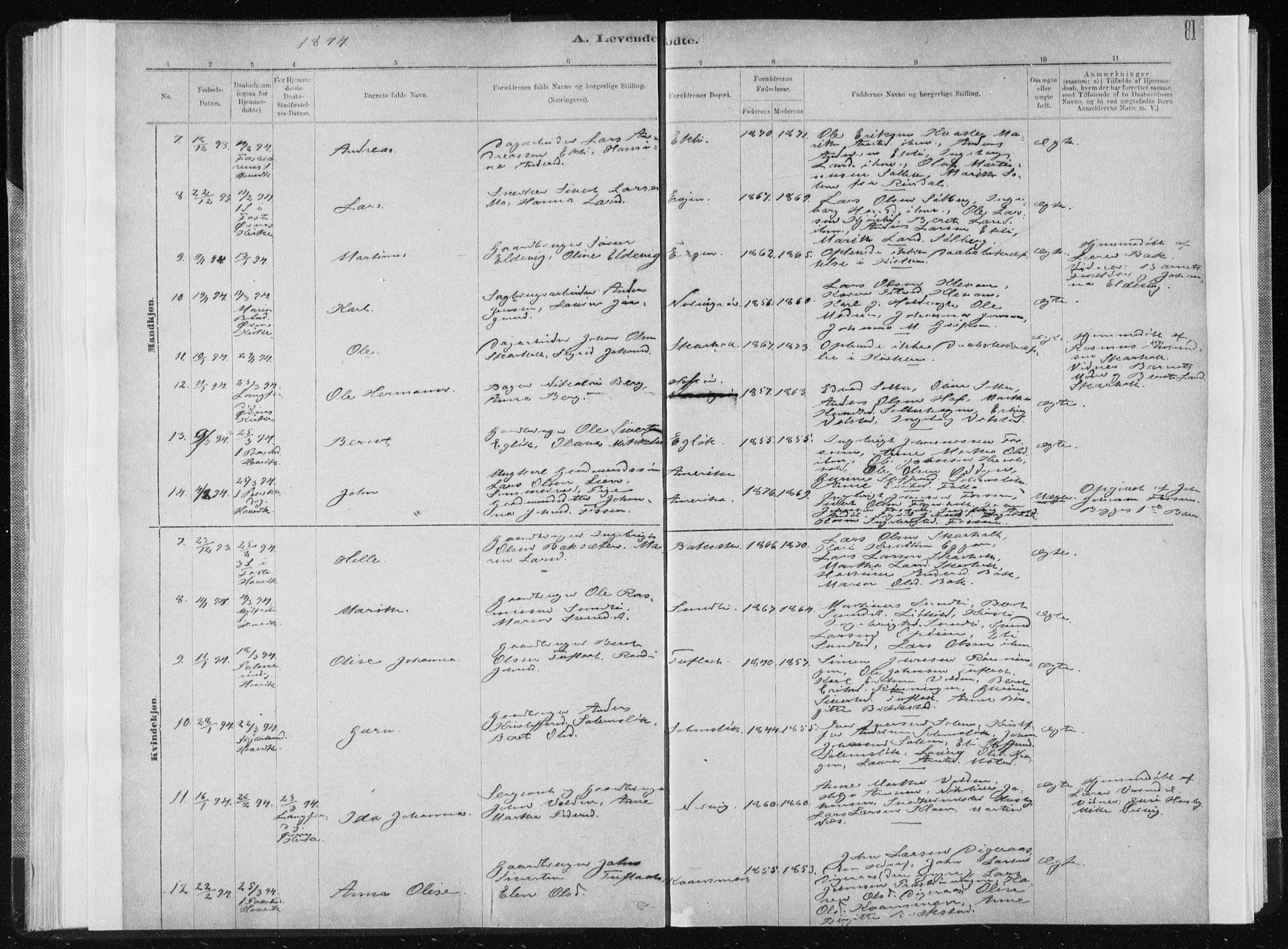 Ministerialprotokoller, klokkerbøker og fødselsregistre - Sør-Trøndelag, SAT/A-1456/668/L0818: Klokkerbok nr. 668C07, 1885-1898, s. 81