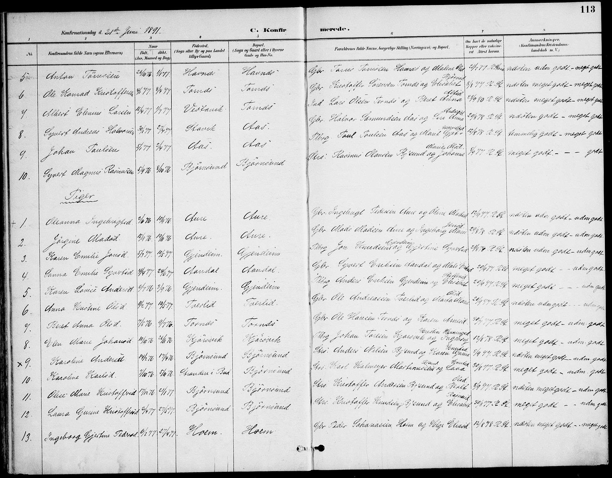 Ministerialprotokoller, klokkerbøker og fødselsregistre - Møre og Romsdal, AV/SAT-A-1454/565/L0750: Ministerialbok nr. 565A04, 1887-1905, s. 113