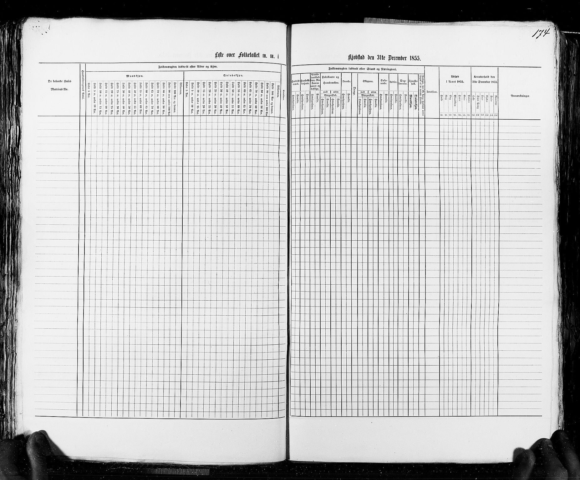 RA, Folketellingen 1855, bind 8: Kjøpsteder og ladesteder: Risør-Vadsø, 1855, s. 174