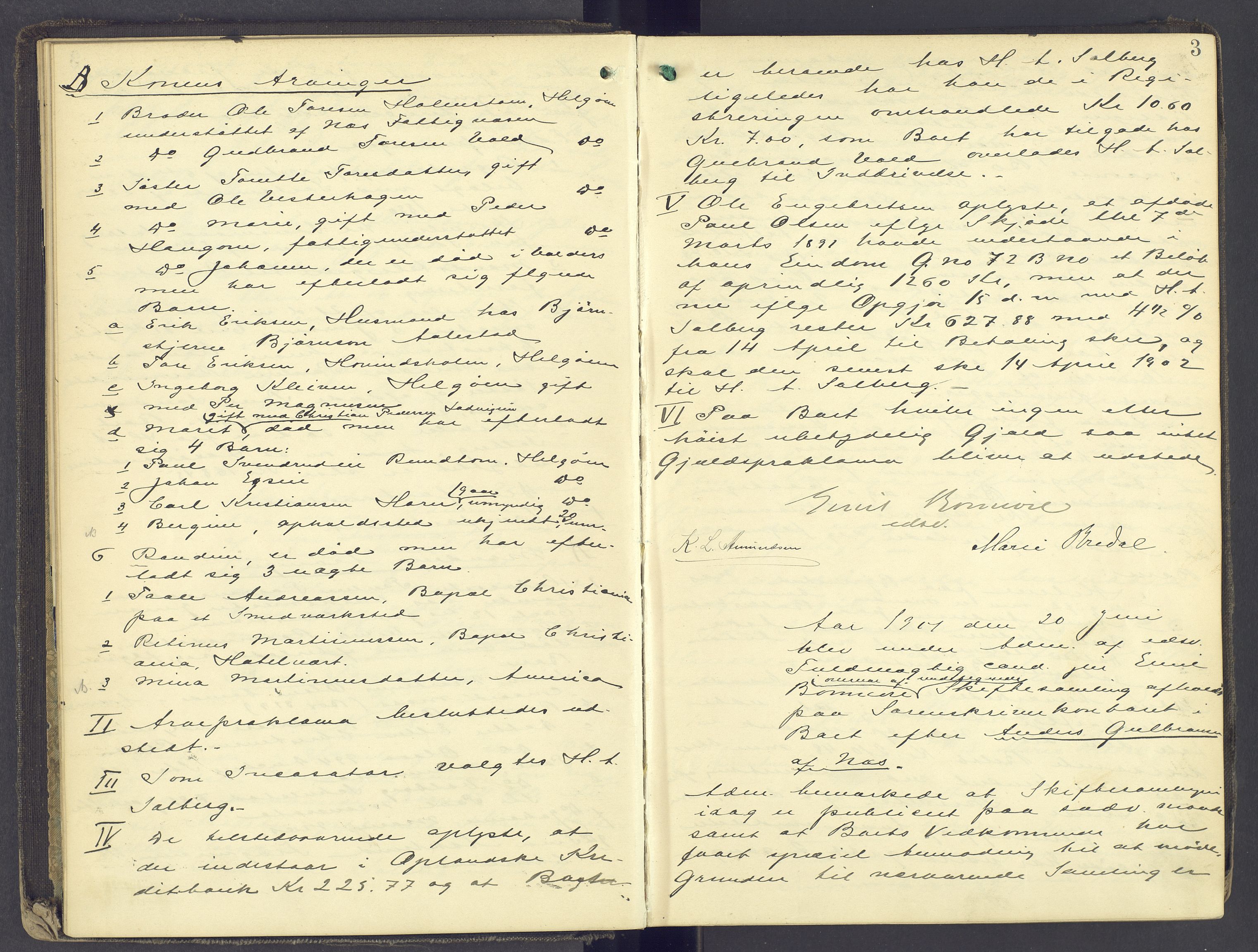 Nord-Hedmark sorenskriveri, AV/SAH-TING-012/J/Jc/Jca/L0003: Skifteforhandlingsprotokoll, 1901-1910, s. 2b-3a