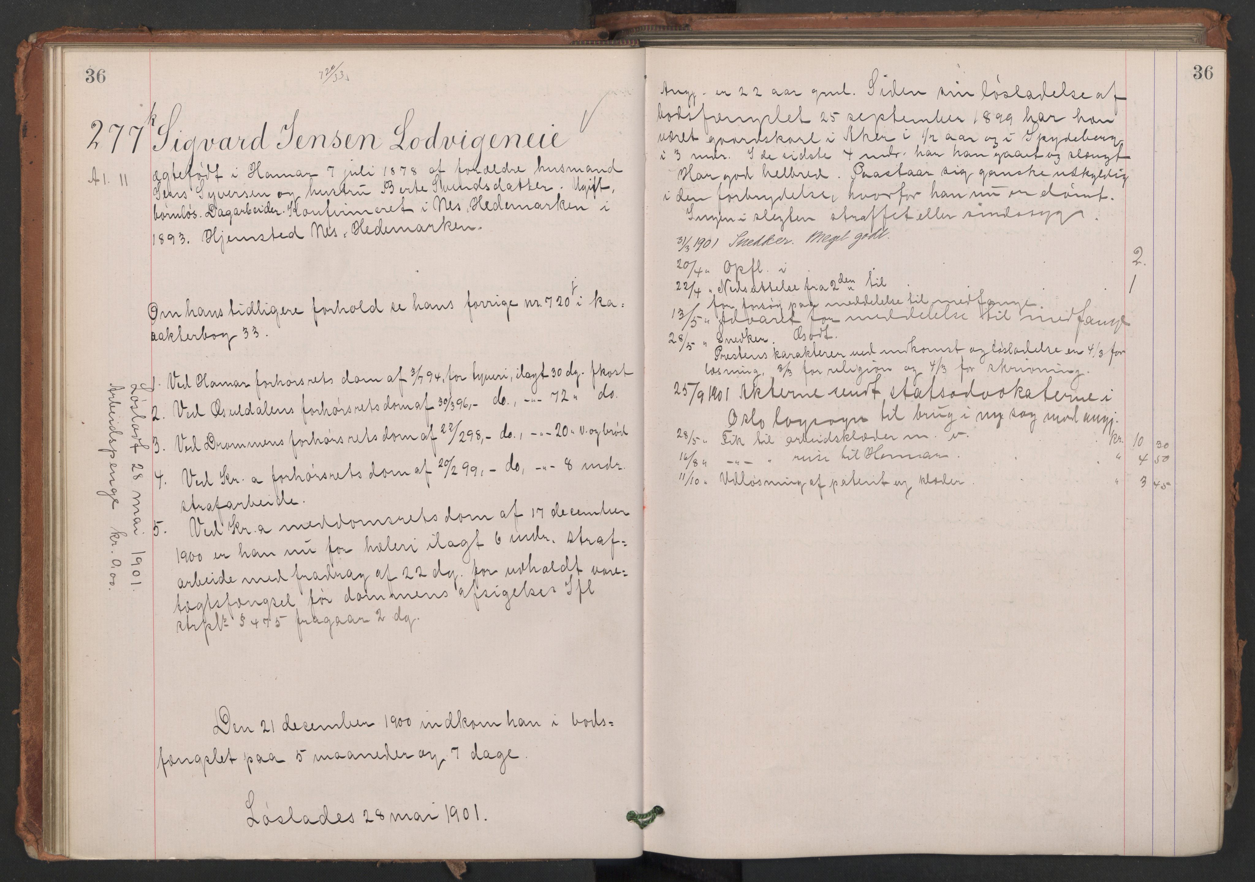 Botsfengslet, AV/RA-S-1539/D/Db/Dbb/L0035: 242k - 530k, 1900-1901, s. 36