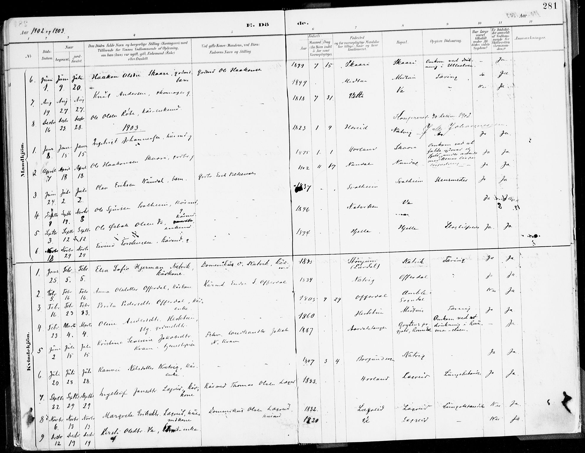 Årdal sokneprestembete, AV/SAB-A-81701: Ministerialbok nr. A 5, 1887-1917, s. 281