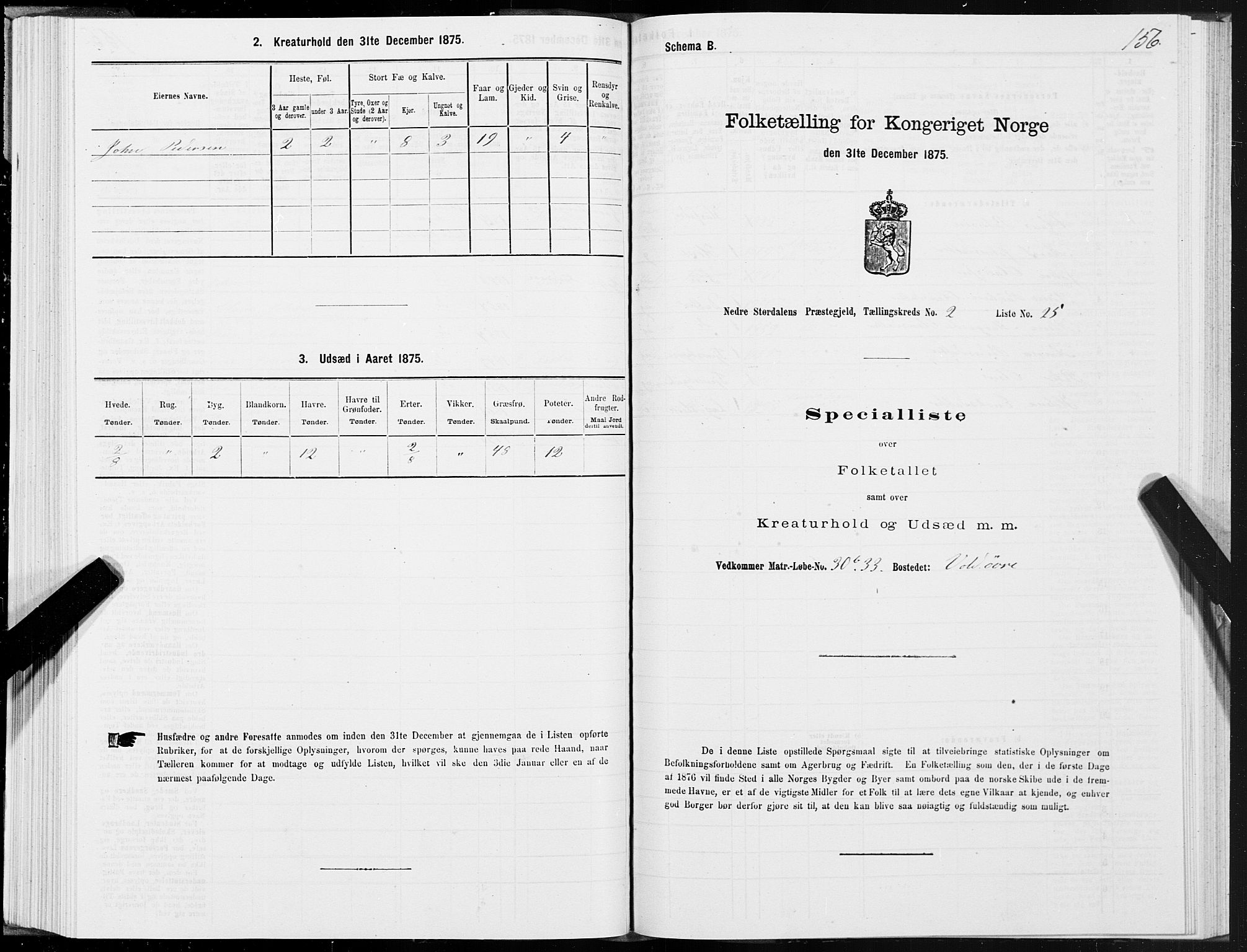 SAT, Folketelling 1875 for 1714P Nedre Stjørdal prestegjeld, 1875, s. 1156