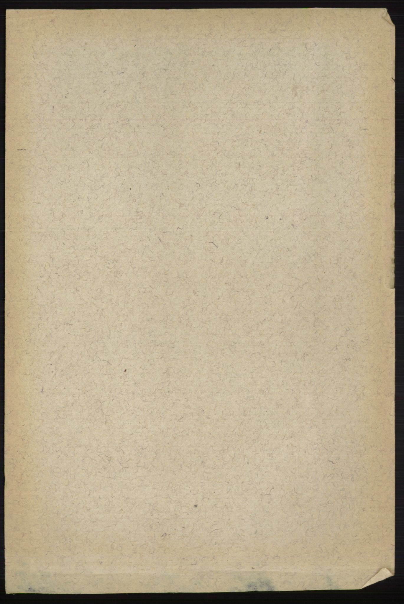 RA, Folketelling 1891 for 0712 Skoger herred, 1891, s. 5204