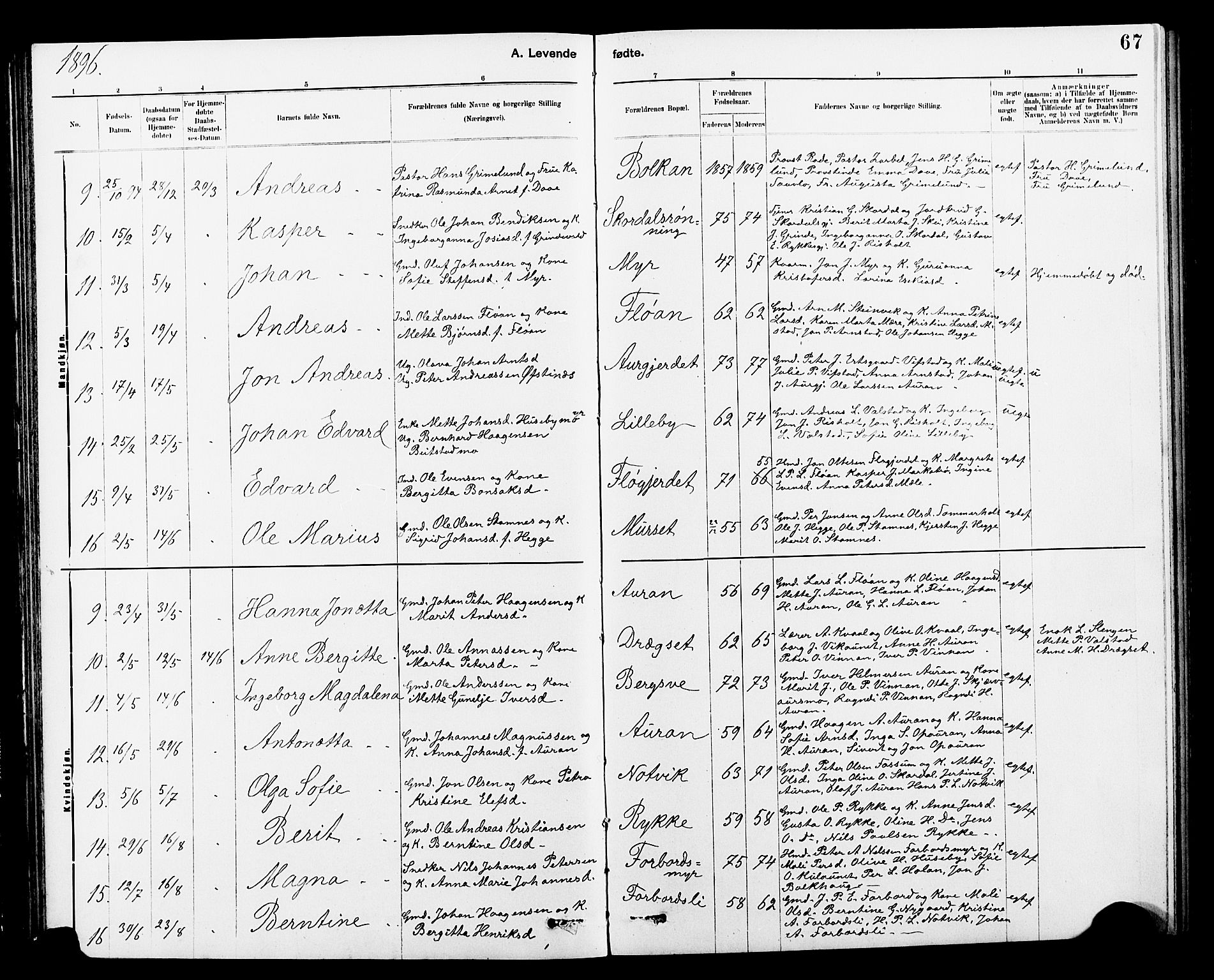 Ministerialprotokoller, klokkerbøker og fødselsregistre - Nord-Trøndelag, SAT/A-1458/712/L0103: Klokkerbok nr. 712C01, 1878-1917, s. 67