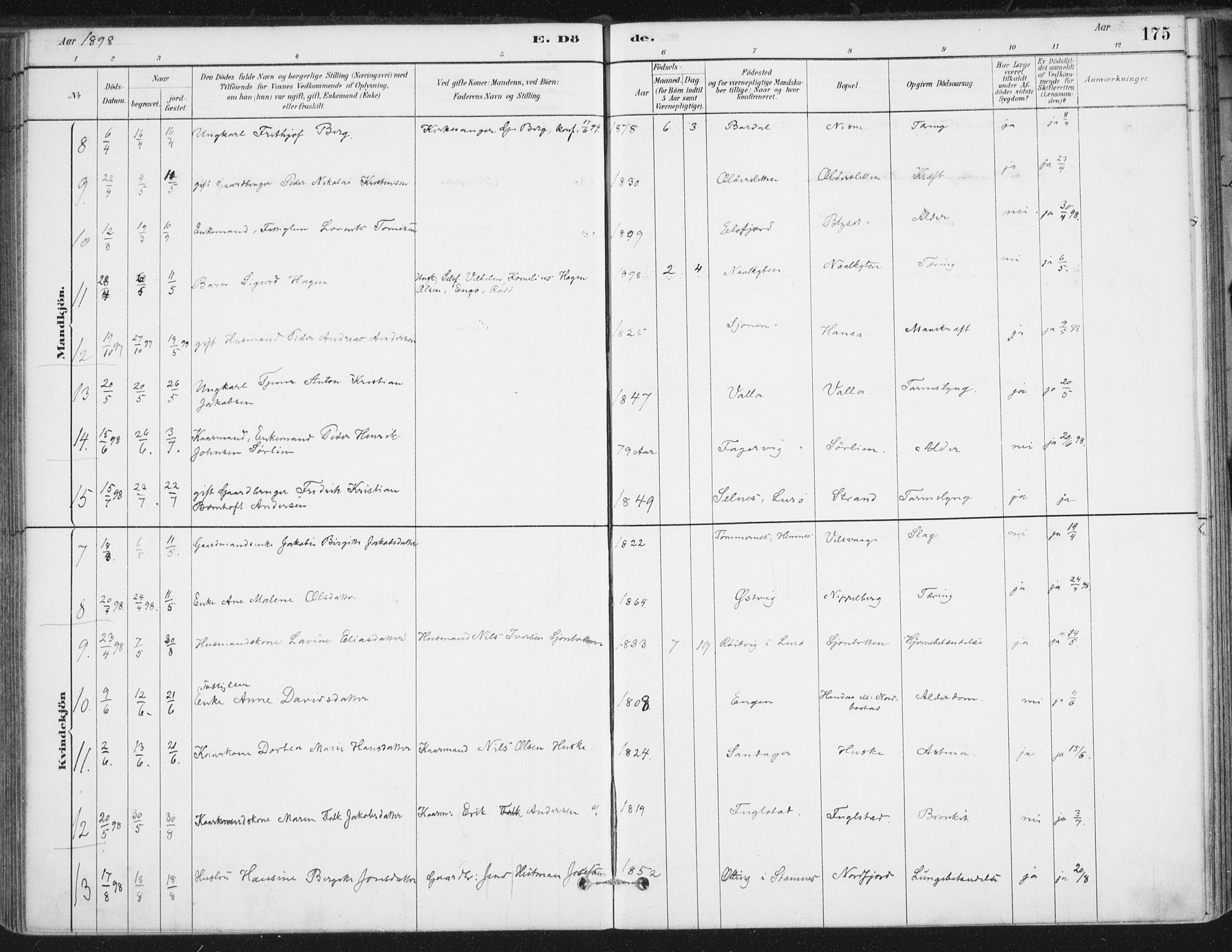 Ministerialprotokoller, klokkerbøker og fødselsregistre - Nordland, SAT/A-1459/838/L0553: Ministerialbok nr. 838A11, 1880-1910, s. 175