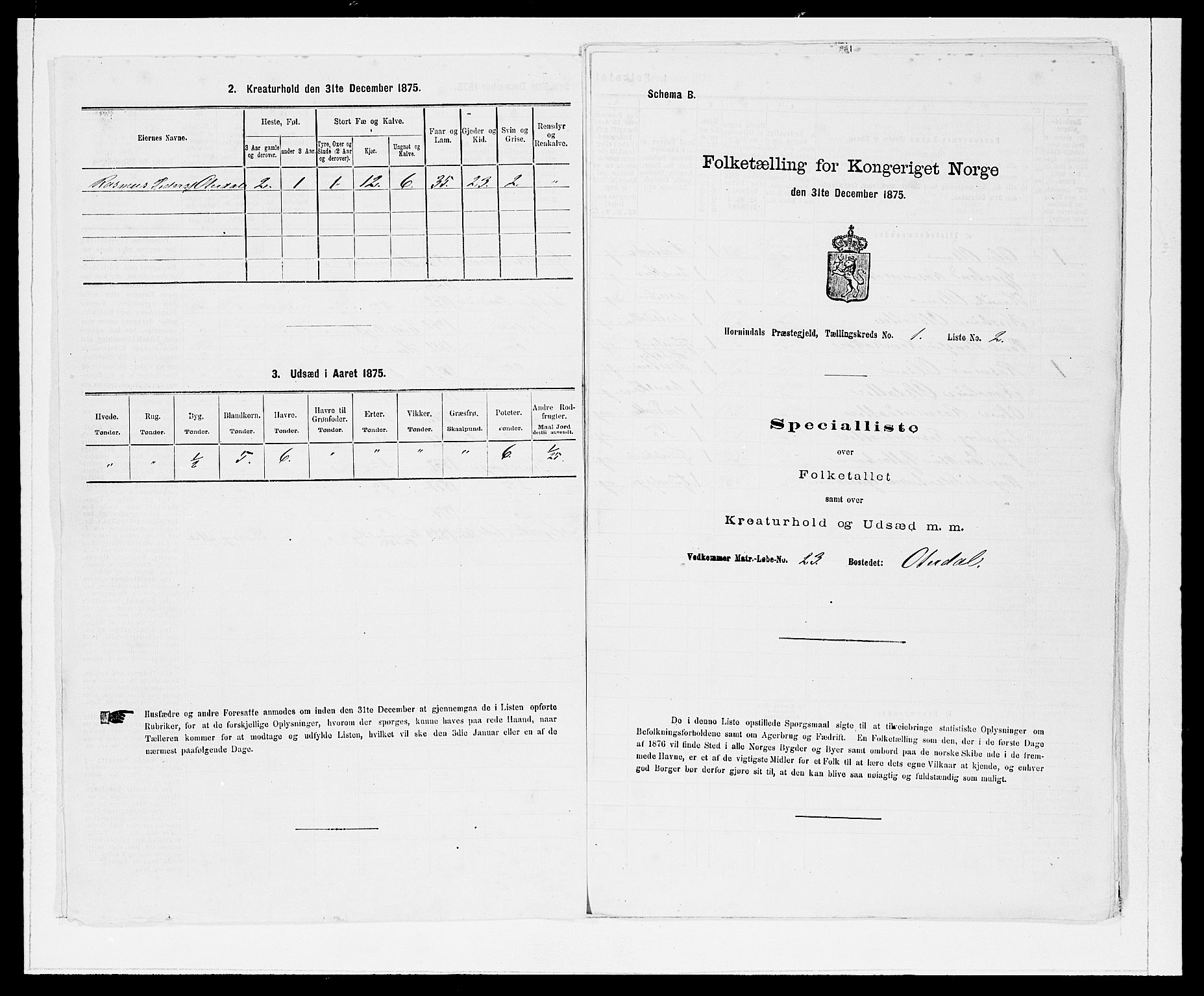 SAB, Folketelling 1875 for 1444P Hornindal prestegjeld, 1875, s. 17