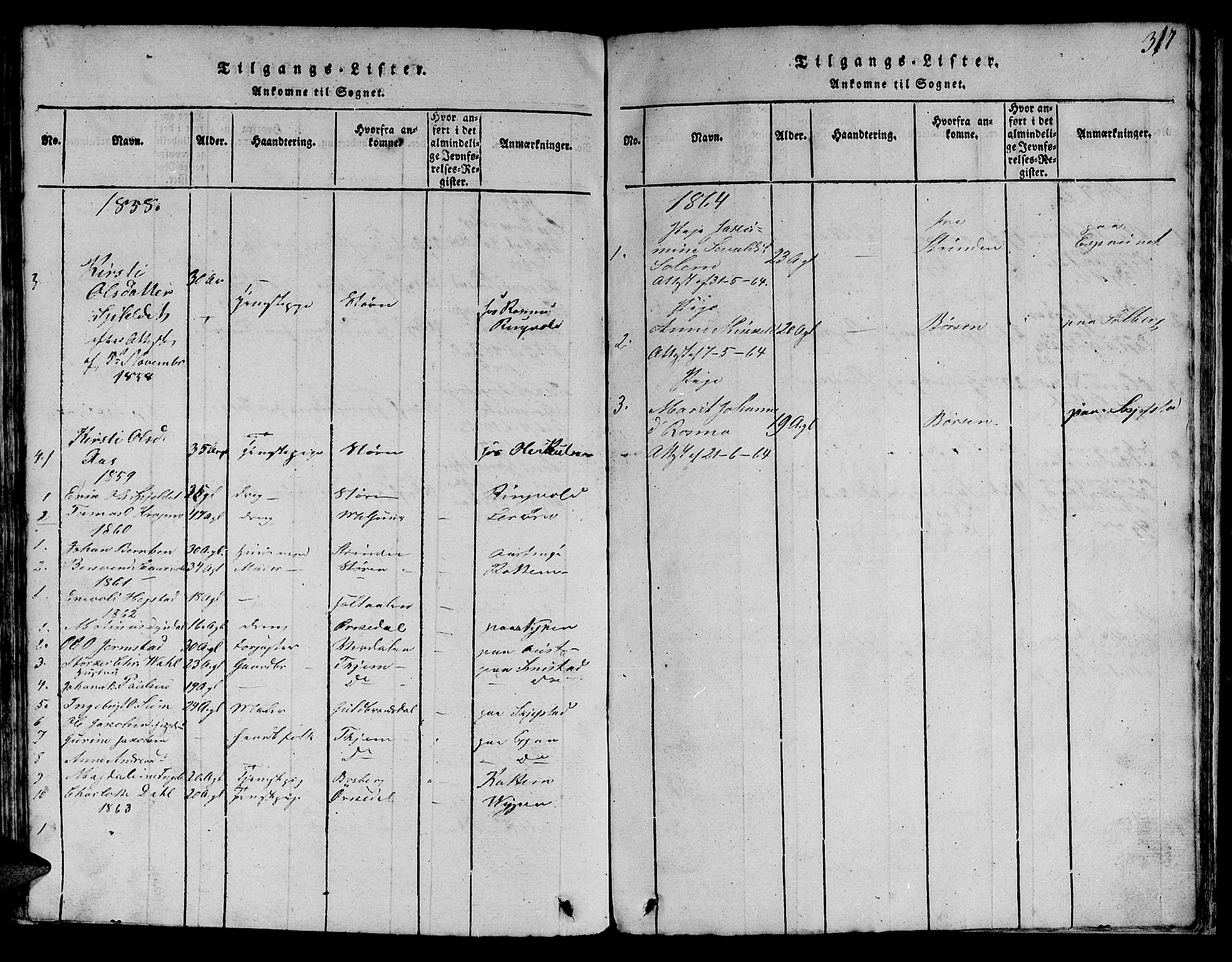 Ministerialprotokoller, klokkerbøker og fødselsregistre - Sør-Trøndelag, SAT/A-1456/613/L0393: Klokkerbok nr. 613C01, 1816-1886, s. 317