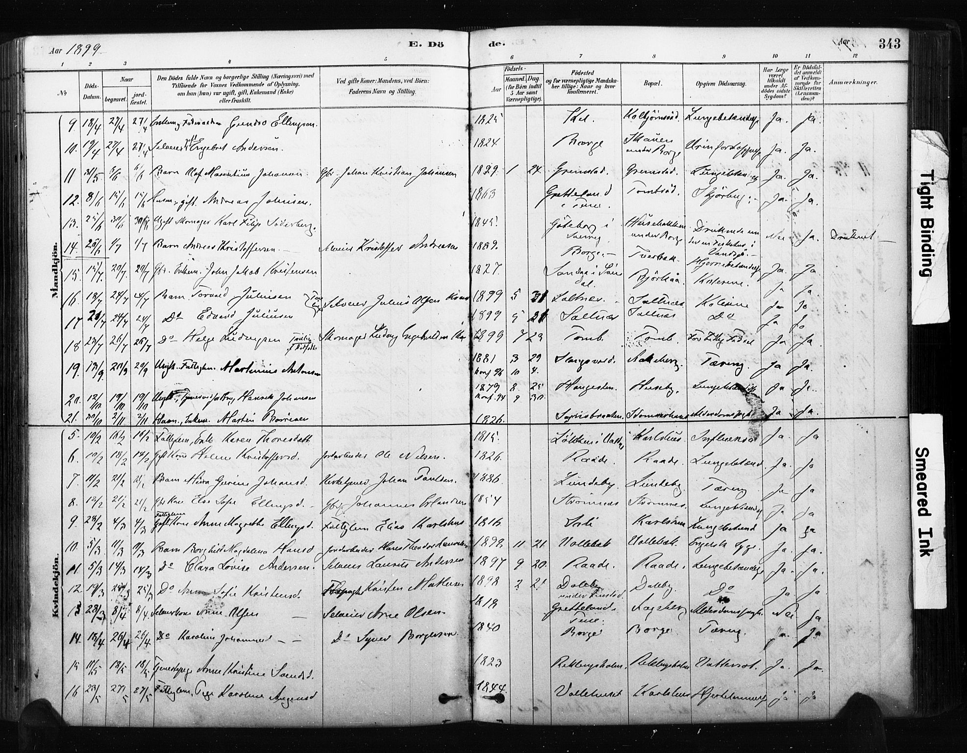 Råde prestekontor kirkebøker, AV/SAO-A-2009/F/Fa/L0007: Ministerialbok nr. 7, 1878-1902, s. 343