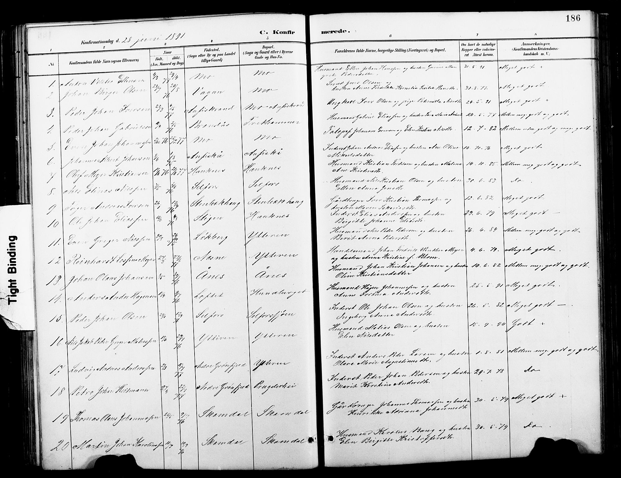 Ministerialprotokoller, klokkerbøker og fødselsregistre - Nordland, AV/SAT-A-1459/827/L0421: Klokkerbok nr. 827C10, 1887-1906, s. 186