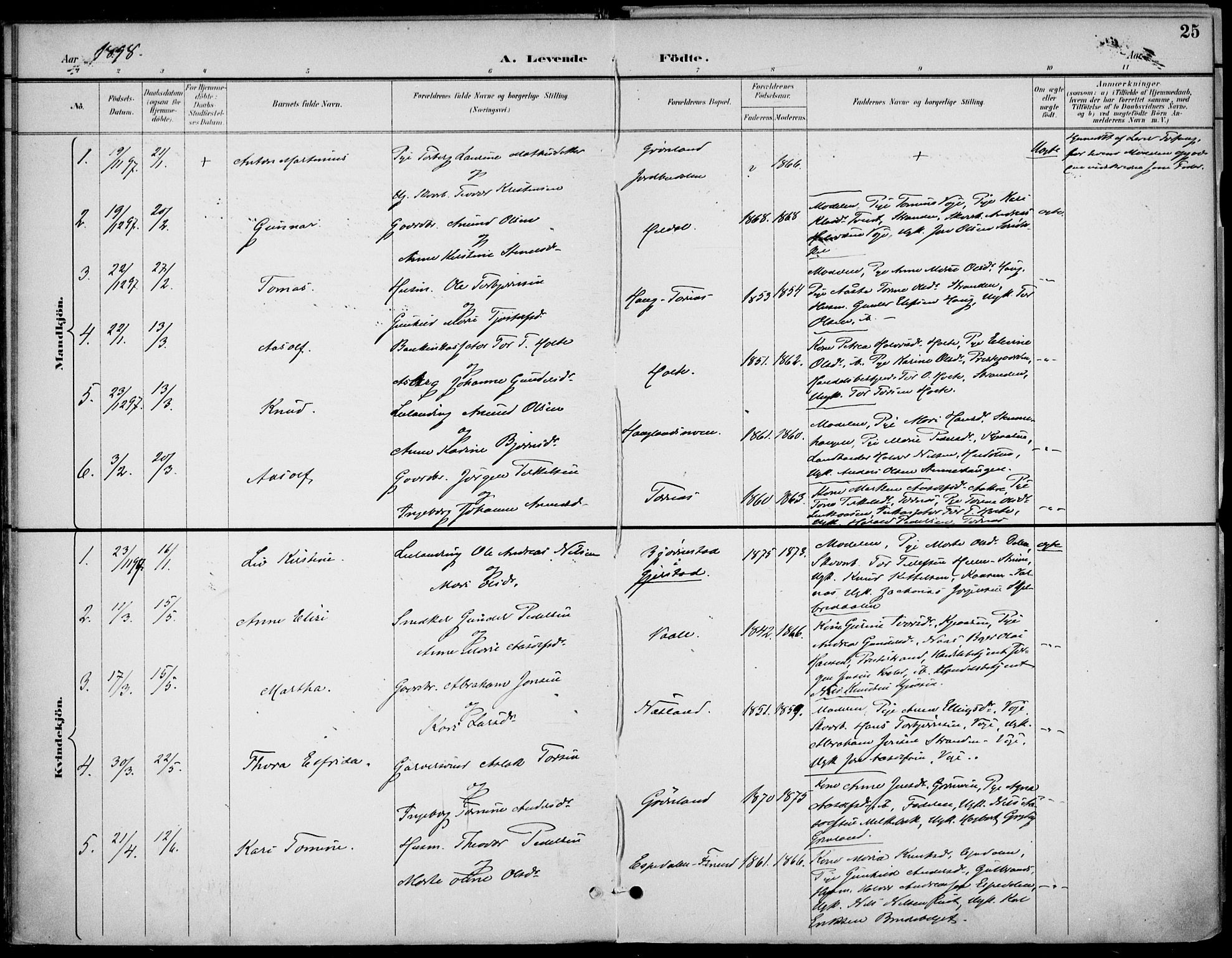 Drangedal kirkebøker, AV/SAKO-A-258/F/Fa/L0012: Ministerialbok nr. 12, 1895-1905, s. 25