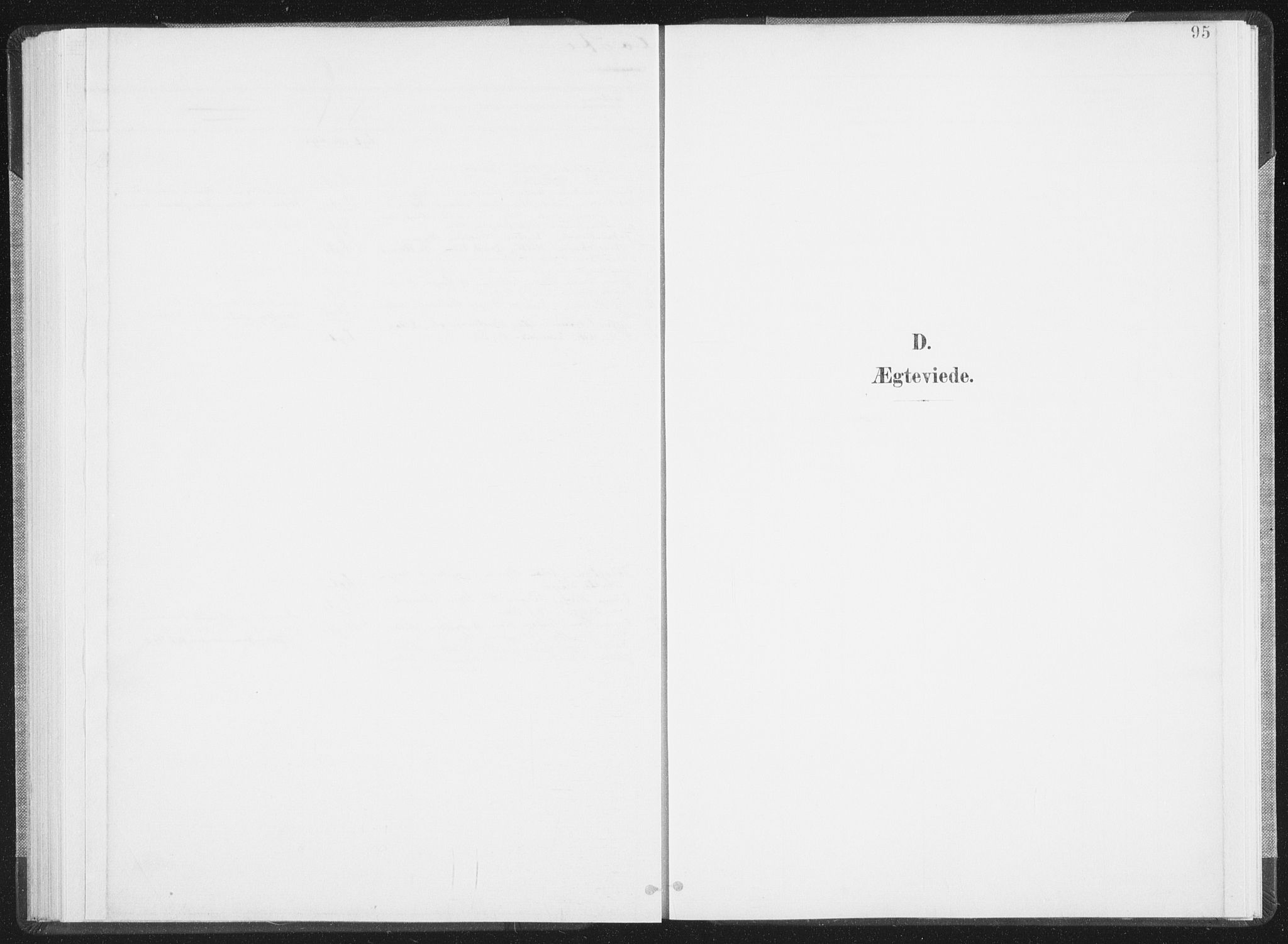 Ministerialprotokoller, klokkerbøker og fødselsregistre - Nordland, AV/SAT-A-1459/810/L0153: Ministerialbok nr. 810A12, 1899-1914, s. 95