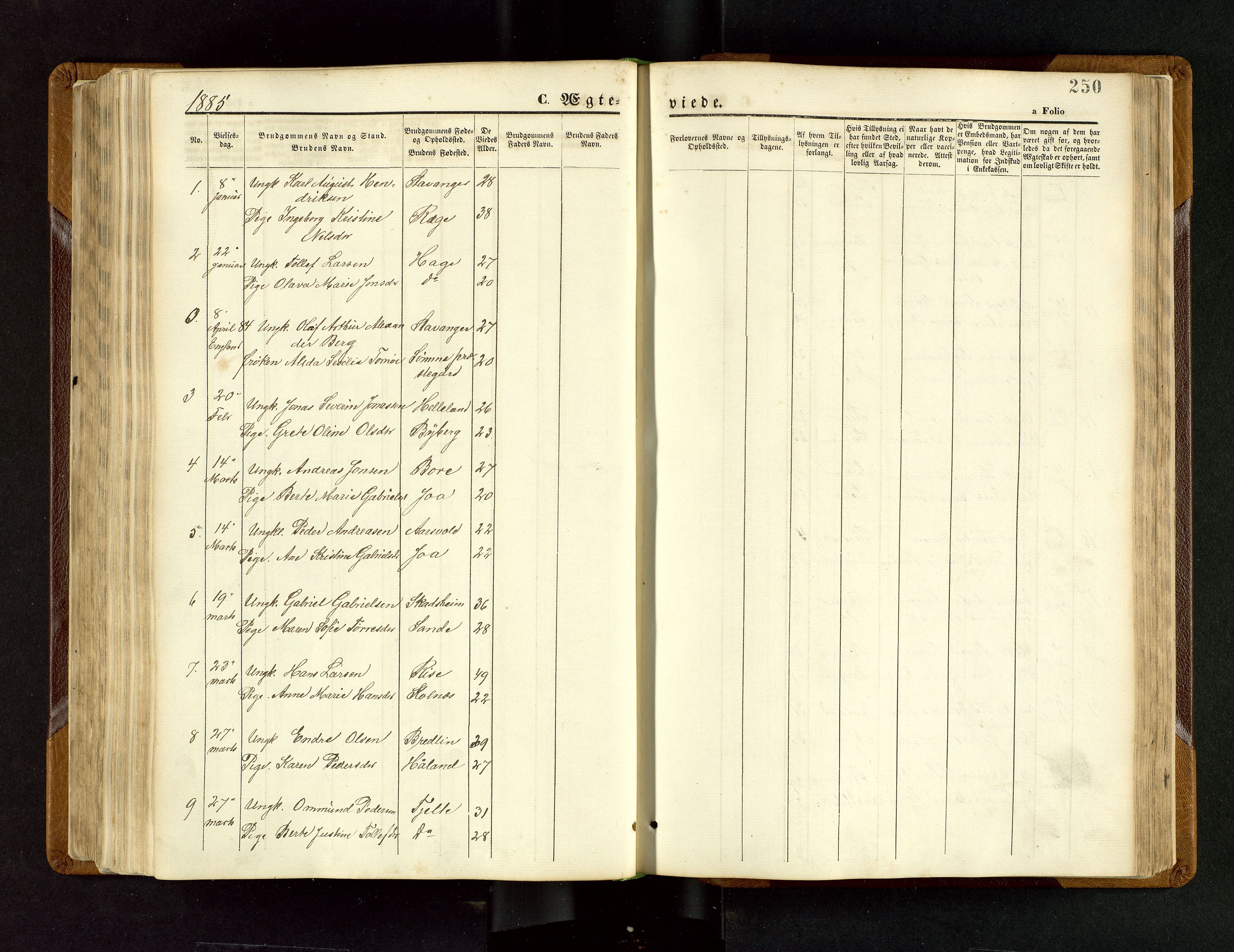 Håland sokneprestkontor, AV/SAST-A-101802/001/30BB/L0003: Klokkerbok nr. B 3, 1873-1893, s. 250