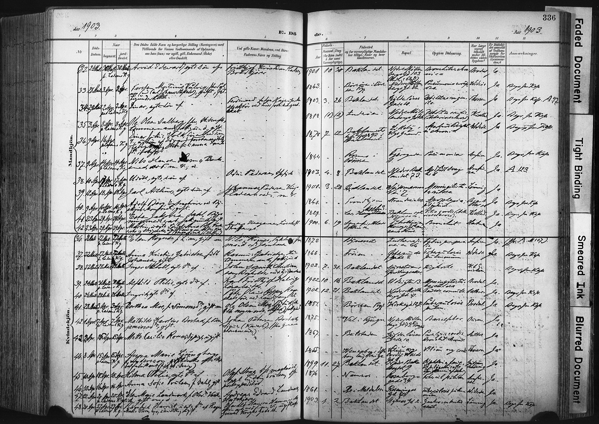 Ministerialprotokoller, klokkerbøker og fødselsregistre - Sør-Trøndelag, SAT/A-1456/604/L0201: Ministerialbok nr. 604A21, 1901-1911, s. 336