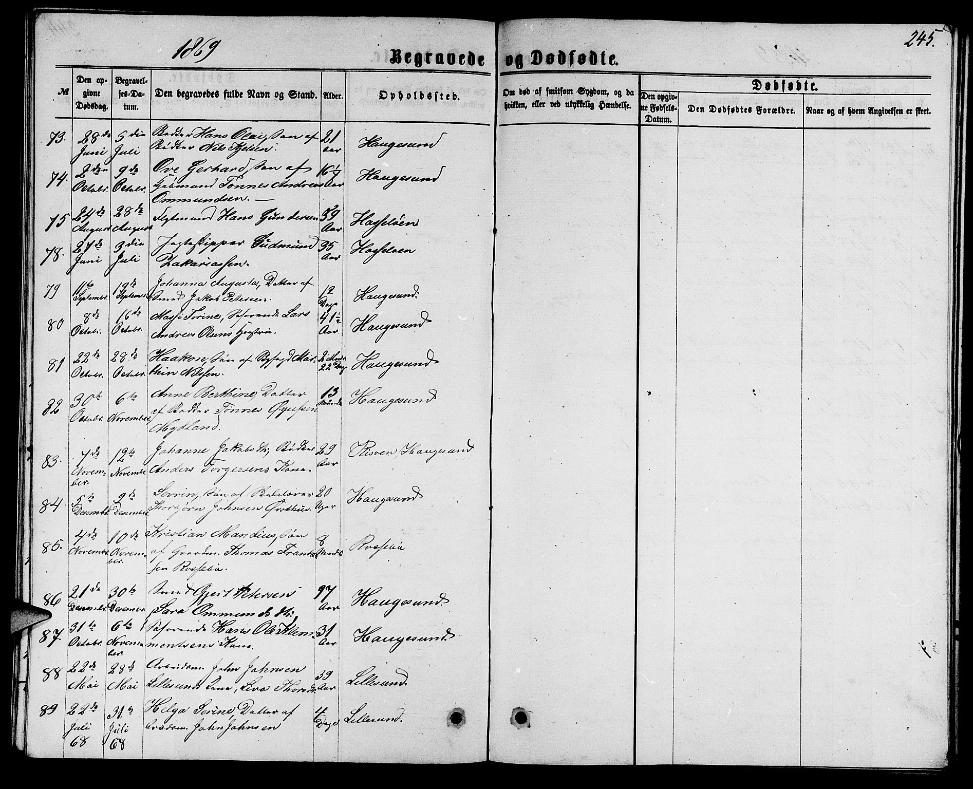 Torvastad sokneprestkontor, SAST/A -101857/H/Ha/Hab/L0007: Klokkerbok nr. B 7, 1866-1873, s. 245