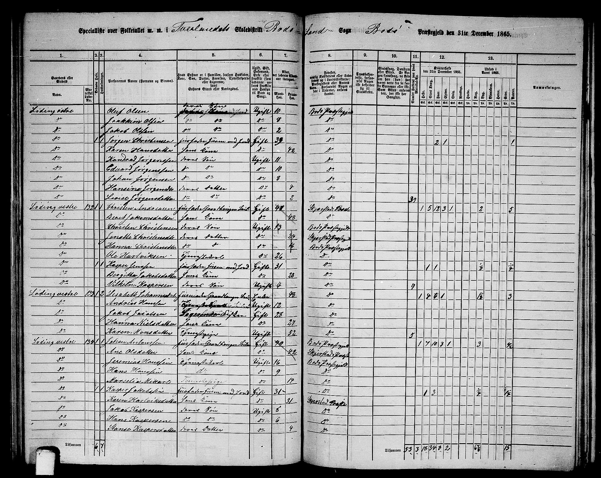 RA, Folketelling 1865 for 1843L Bodø prestegjeld, Bodø landsokn, 1865, s. 79