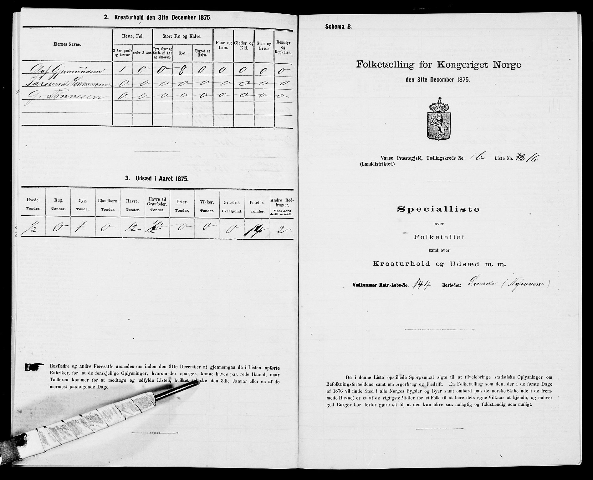 SAK, Folketelling 1875 for 1041L Vanse prestegjeld, Vanse sokn og Farsund landsokn, 1875, s. 294