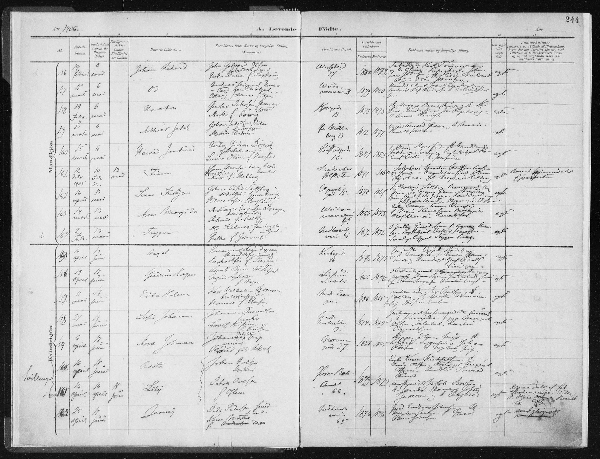Ministerialprotokoller, klokkerbøker og fødselsregistre - Sør-Trøndelag, SAT/A-1456/604/L0200: Ministerialbok nr. 604A20II, 1901-1908, s. 244