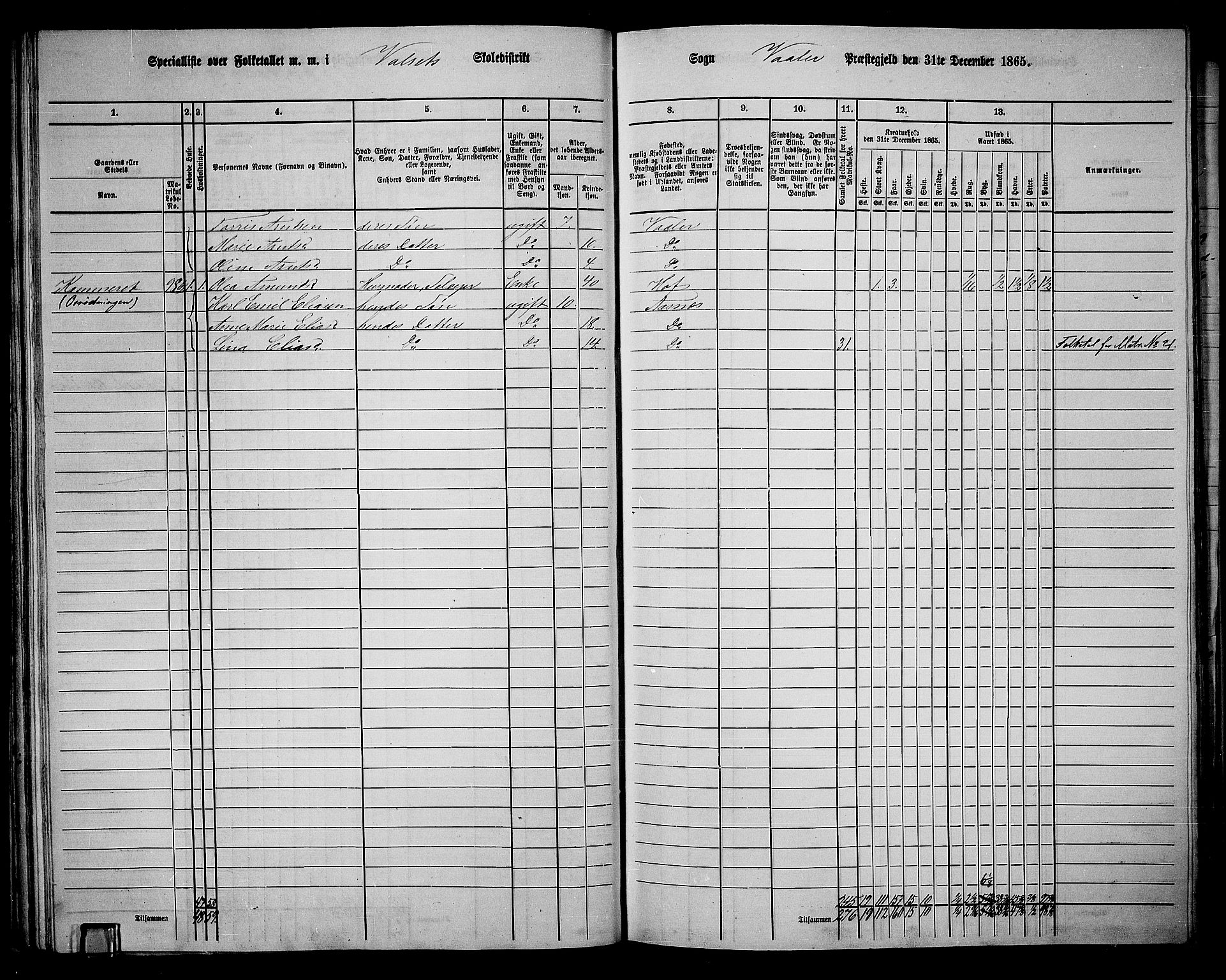 RA, Folketelling 1865 for 0426P Våler prestegjeld, 1865, s. 48