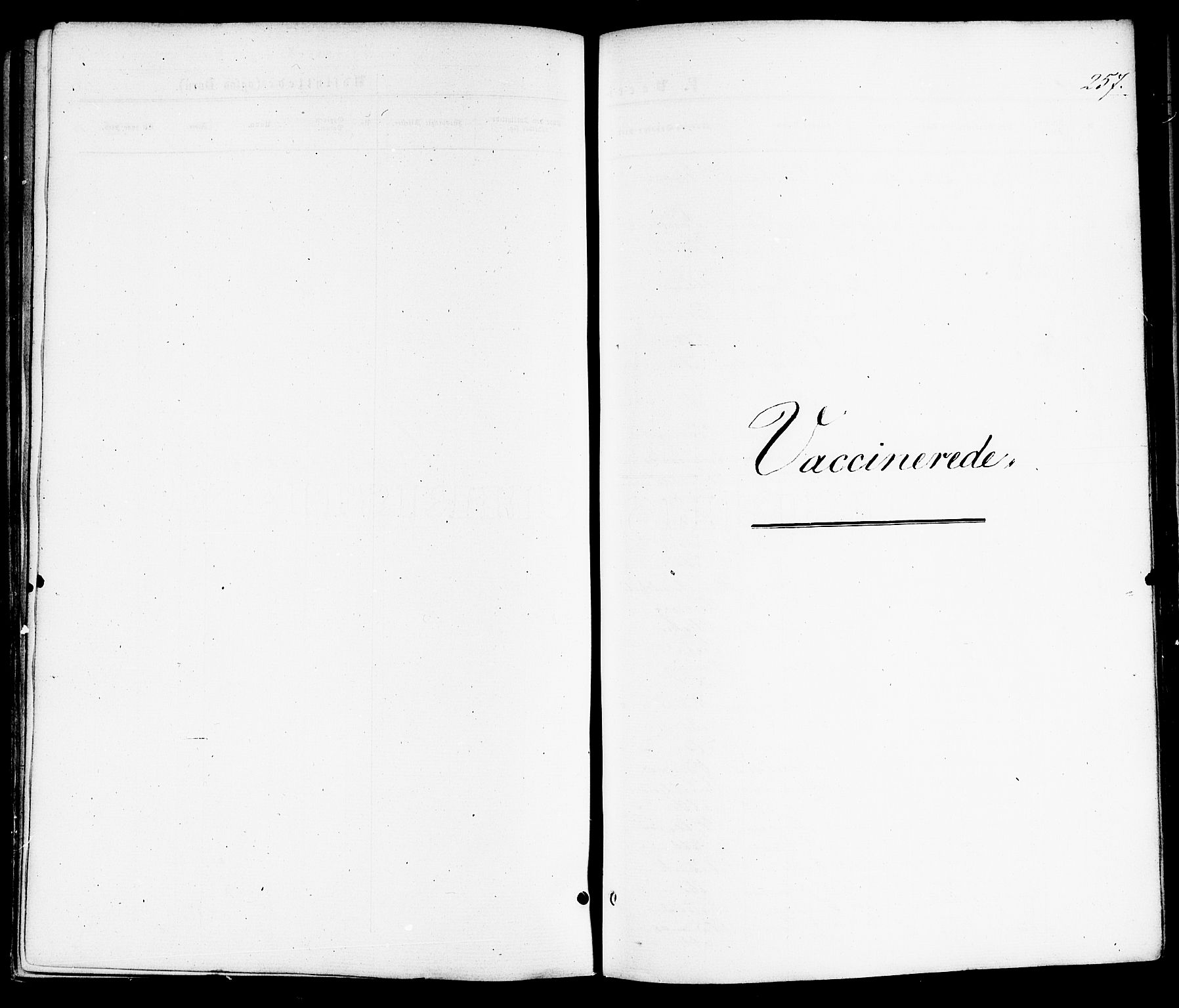 Ministerialprotokoller, klokkerbøker og fødselsregistre - Nordland, AV/SAT-A-1459/859/L0845: Ministerialbok nr. 859A05, 1863-1877, s. 257