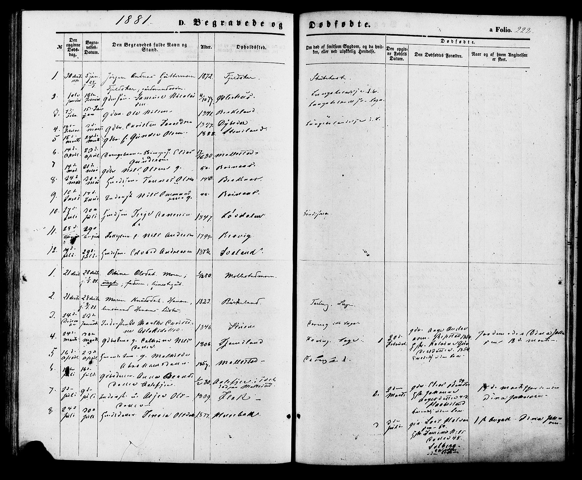 Birkenes sokneprestkontor, SAK/1111-0004/F/Fa/L0004: Ministerialbok nr. A 4, 1867-1886, s. 222