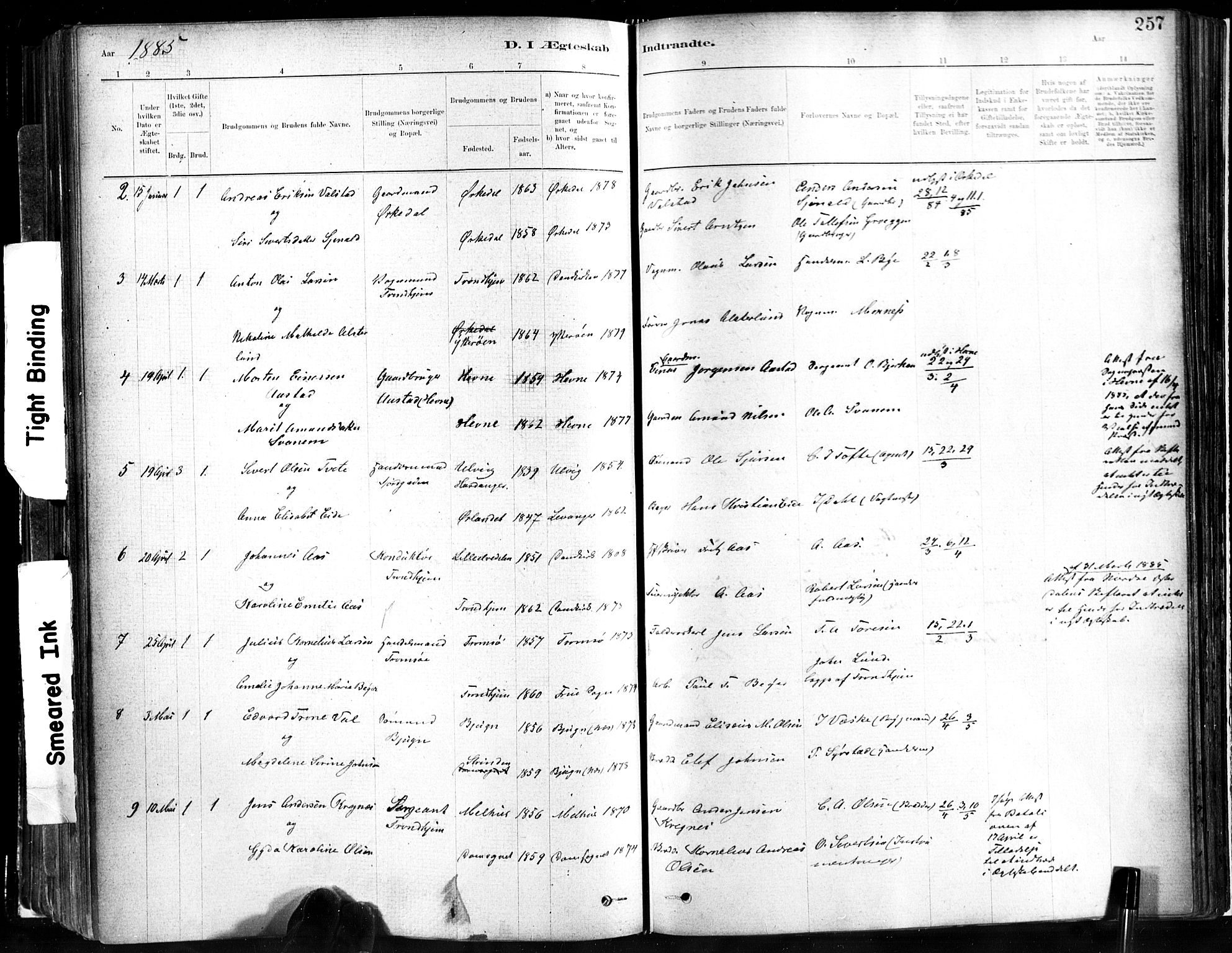 Ministerialprotokoller, klokkerbøker og fødselsregistre - Sør-Trøndelag, SAT/A-1456/602/L0119: Ministerialbok nr. 602A17, 1880-1901, s. 257
