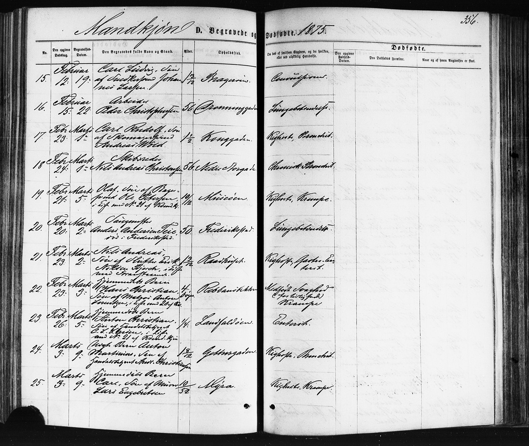 Bragernes kirkebøker, AV/SAKO-A-6/F/Fb/L0004: Ministerialbok nr. II 4, 1869-1875, s. 356