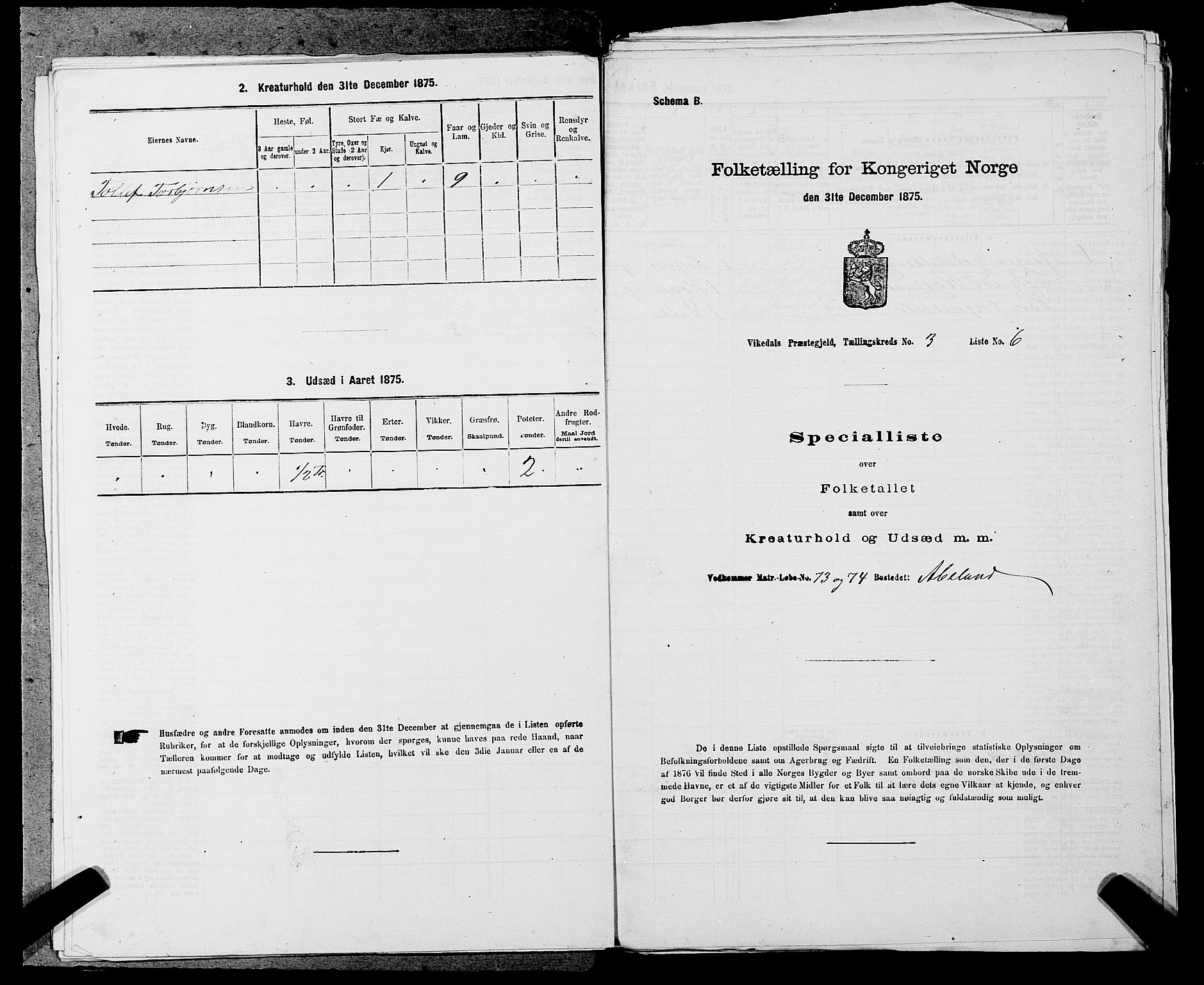 SAST, Folketelling 1875 for 1157P Vikedal prestegjeld, 1875, s. 351