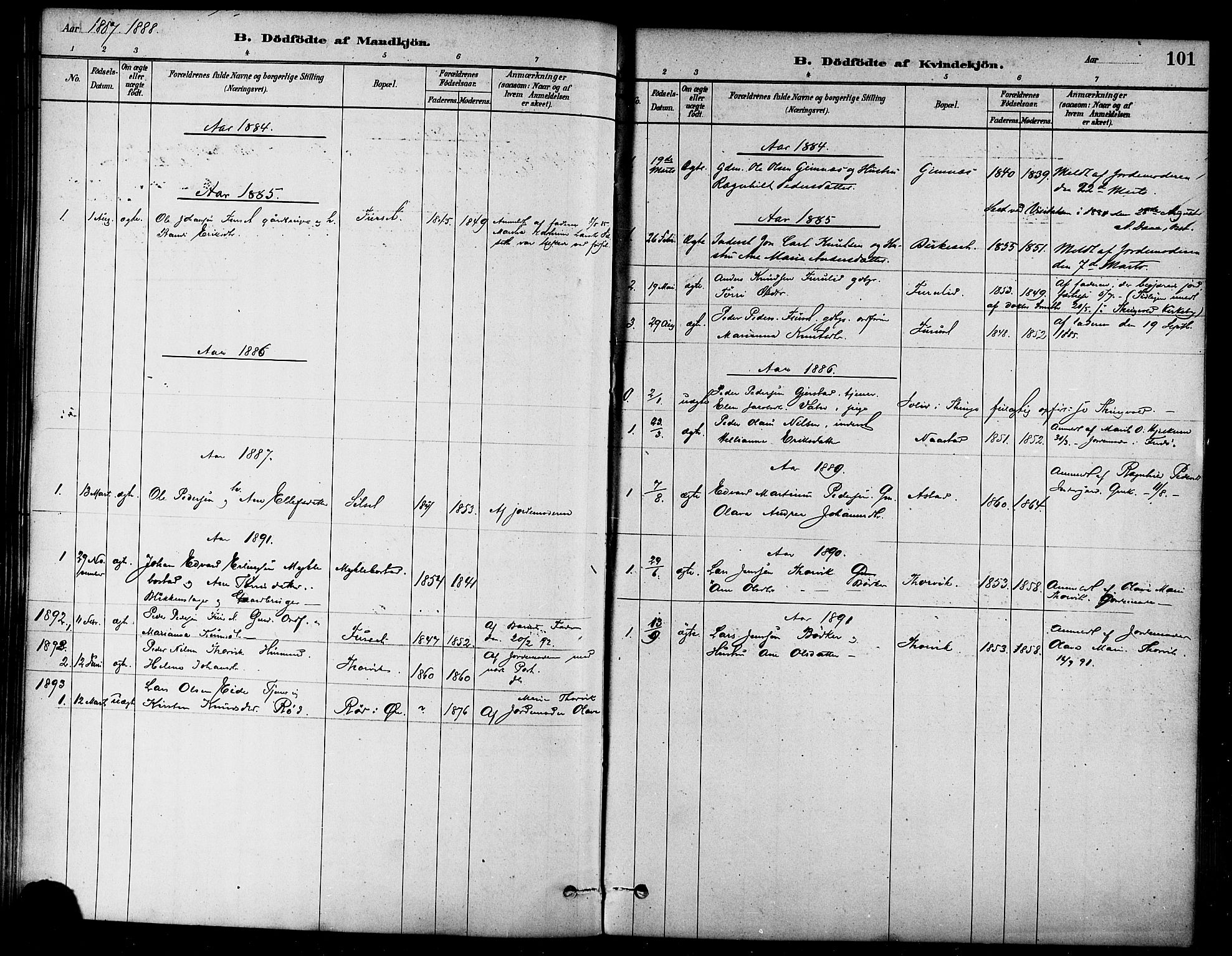 Ministerialprotokoller, klokkerbøker og fødselsregistre - Møre og Romsdal, SAT/A-1454/584/L0967: Ministerialbok nr. 584A07, 1879-1894, s. 101