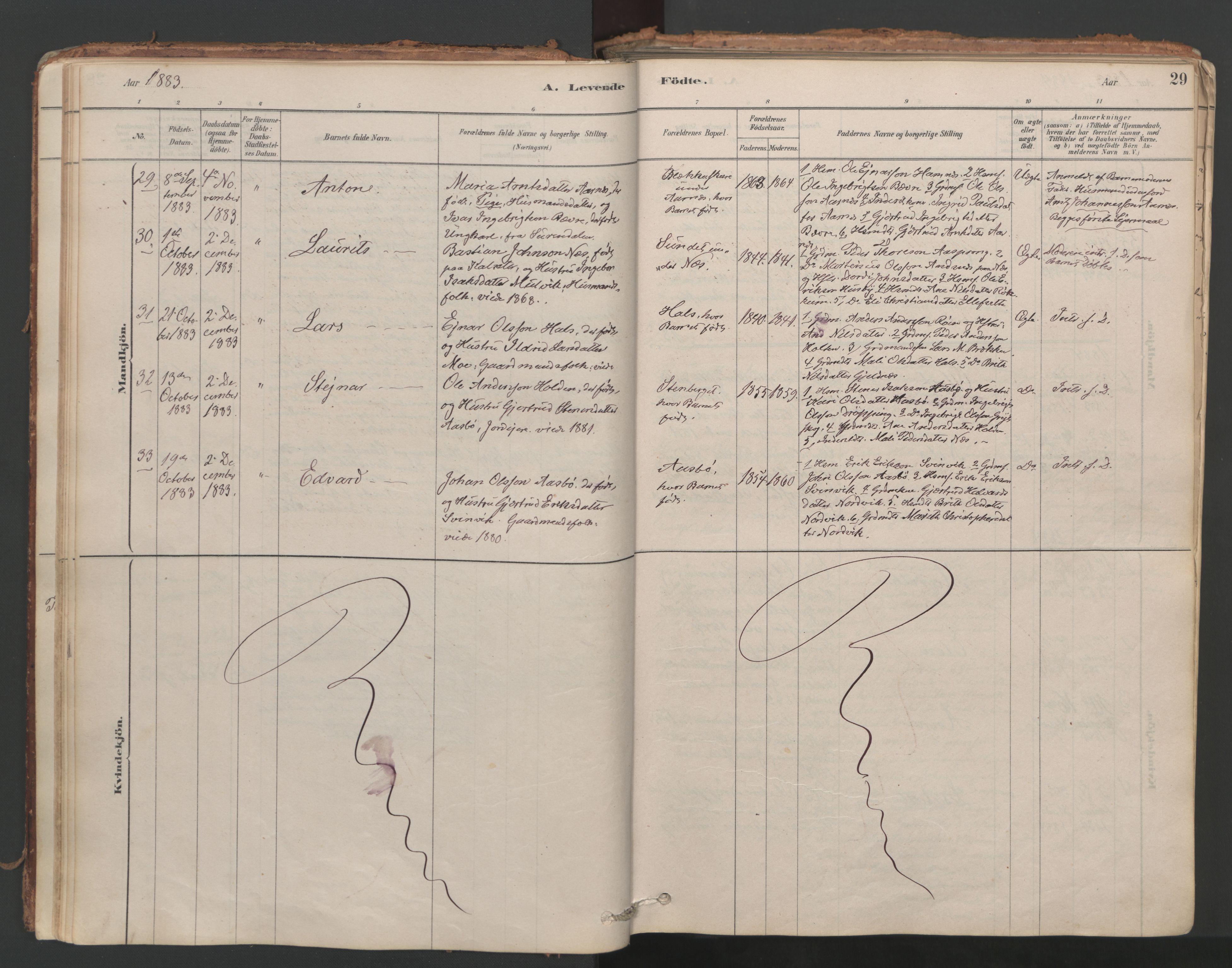 Ministerialprotokoller, klokkerbøker og fødselsregistre - Møre og Romsdal, AV/SAT-A-1454/592/L1029: Ministerialbok nr. 592A07, 1879-1902, s. 29