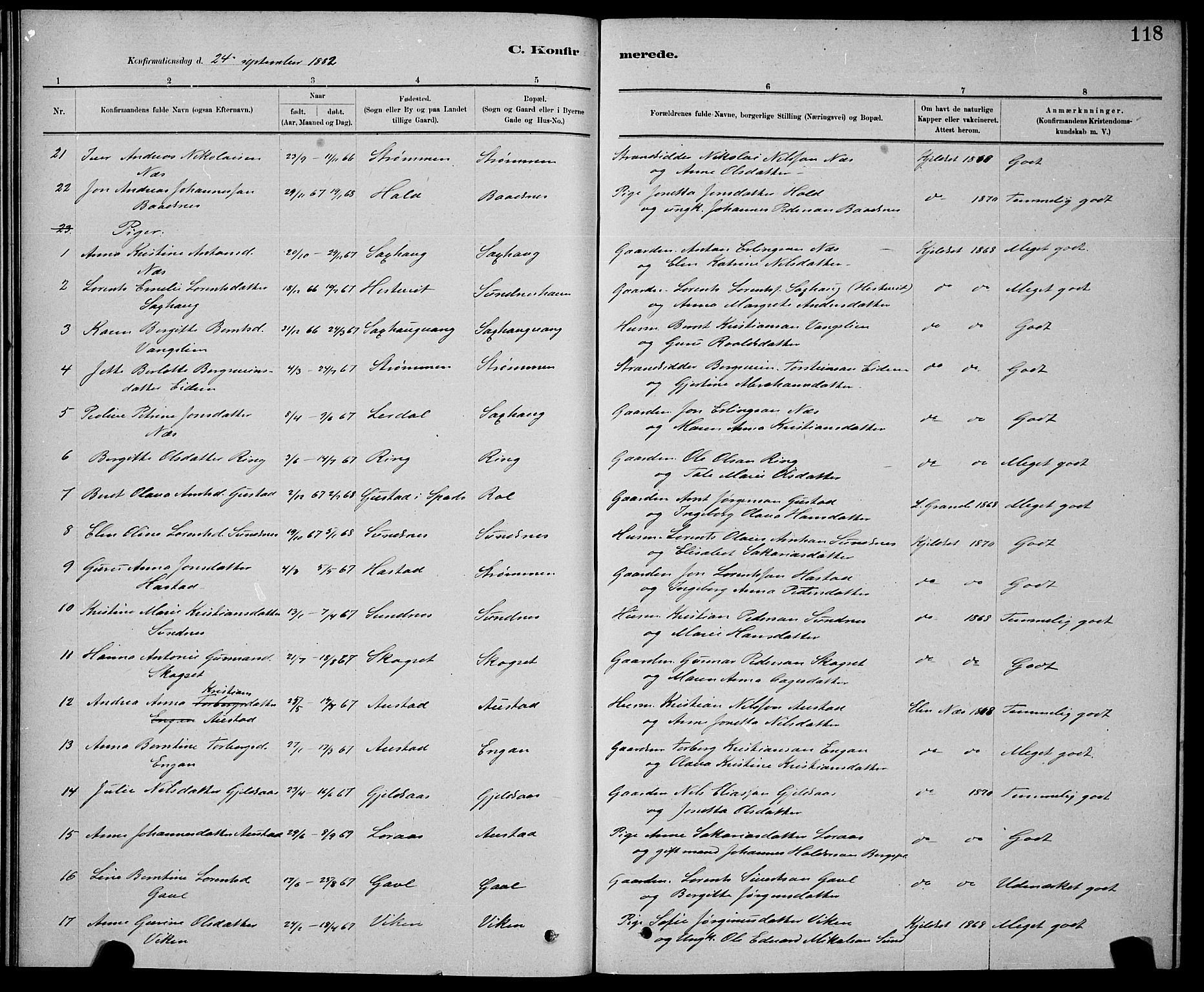 Ministerialprotokoller, klokkerbøker og fødselsregistre - Nord-Trøndelag, SAT/A-1458/730/L0301: Klokkerbok nr. 730C04, 1880-1897, s. 118