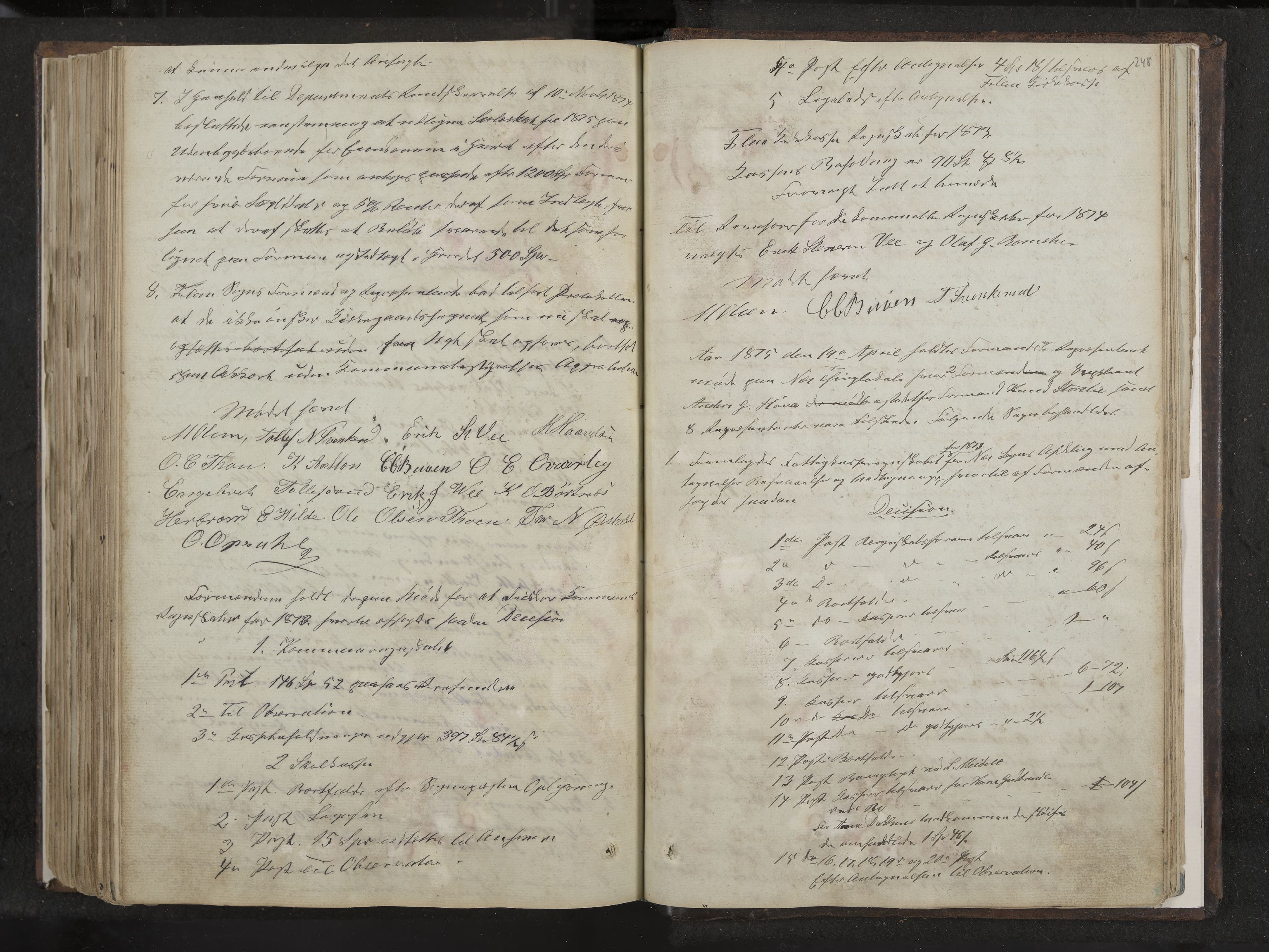 Nes formannskap og sentraladministrasjon, IKAK/0616021-1/A/Aa/L0001: Møtebok med register, 1838-1875, s. 248