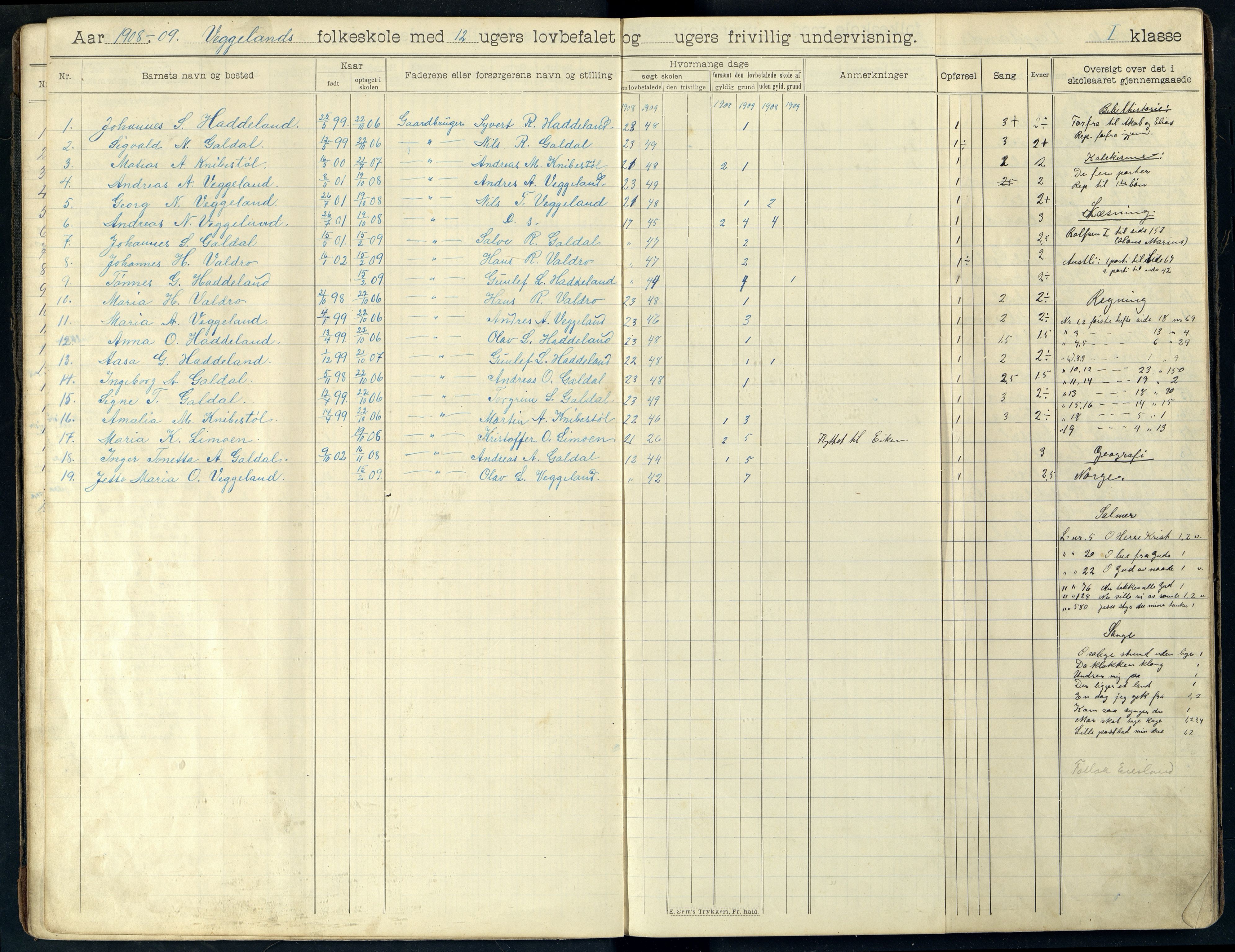 Fjotland kommune - Veggeland Skole, ARKSOR/1037FJ558/H/L0001: Skoleprotokoll, 1907-1919