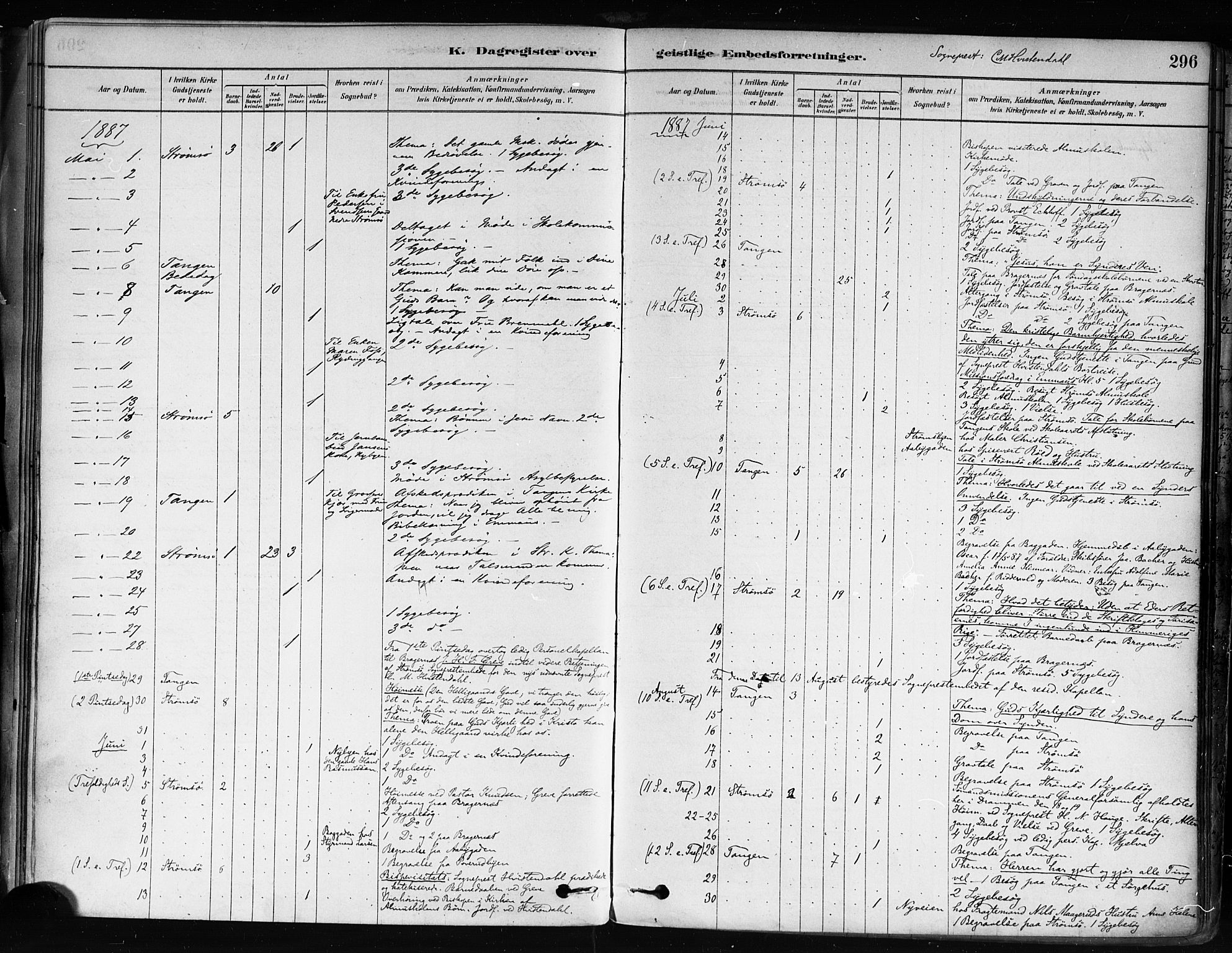 Strømsø kirkebøker, AV/SAKO-A-246/F/Fa/L0022: Ministerialbok nr. I 22, 1879-1899, s. 296