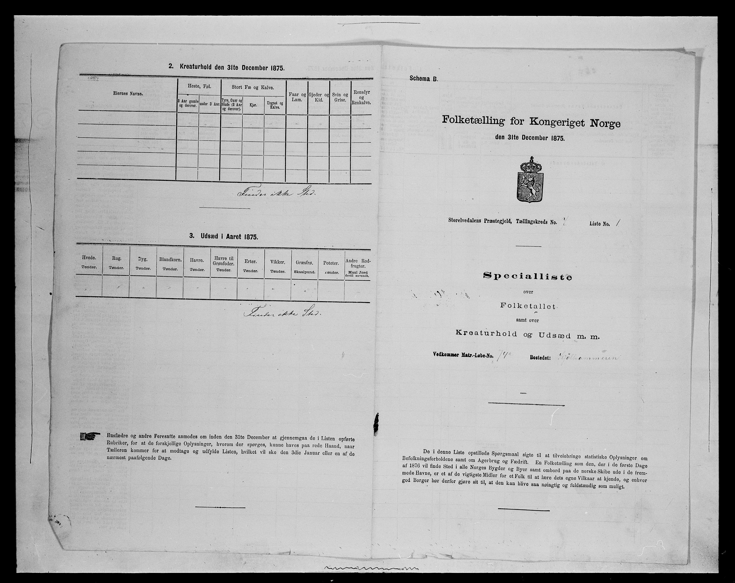 SAH, Folketelling 1875 for 0430P Stor-Elvdal prestegjeld, 1875, s. 813