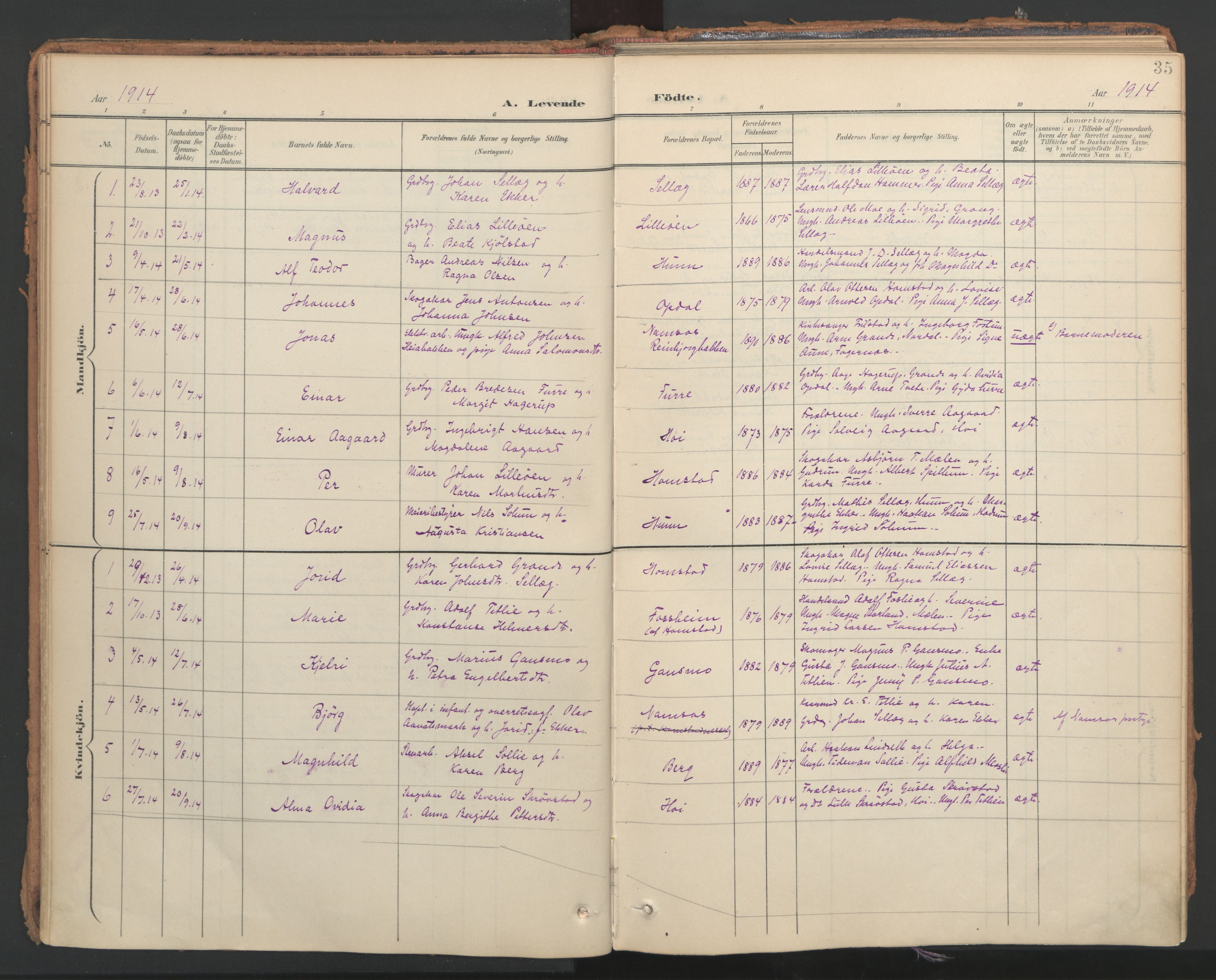 Ministerialprotokoller, klokkerbøker og fødselsregistre - Nord-Trøndelag, AV/SAT-A-1458/766/L0564: Ministerialbok nr. 767A02, 1900-1932, s. 35