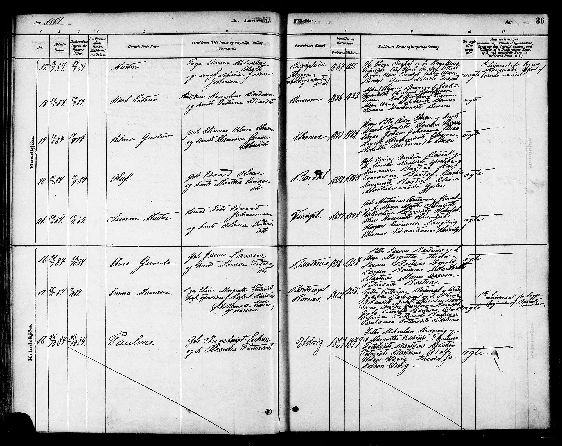 Ministerialprotokoller, klokkerbøker og fødselsregistre - Nord-Trøndelag, AV/SAT-A-1458/741/L0395: Ministerialbok nr. 741A09, 1878-1888, s. 36