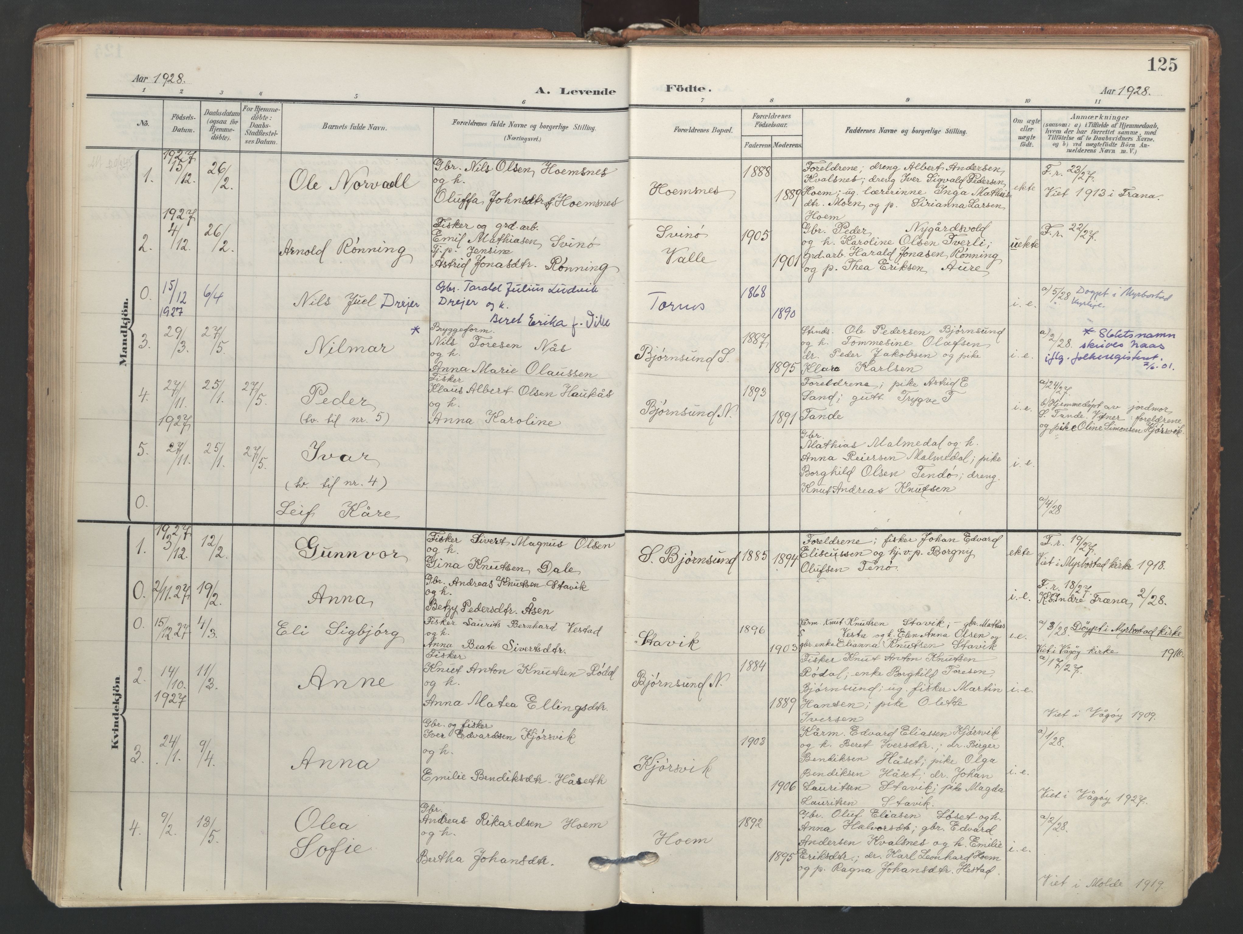 Ministerialprotokoller, klokkerbøker og fødselsregistre - Møre og Romsdal, AV/SAT-A-1454/565/L0751: Ministerialbok nr. 565A05, 1905-1979, s. 125