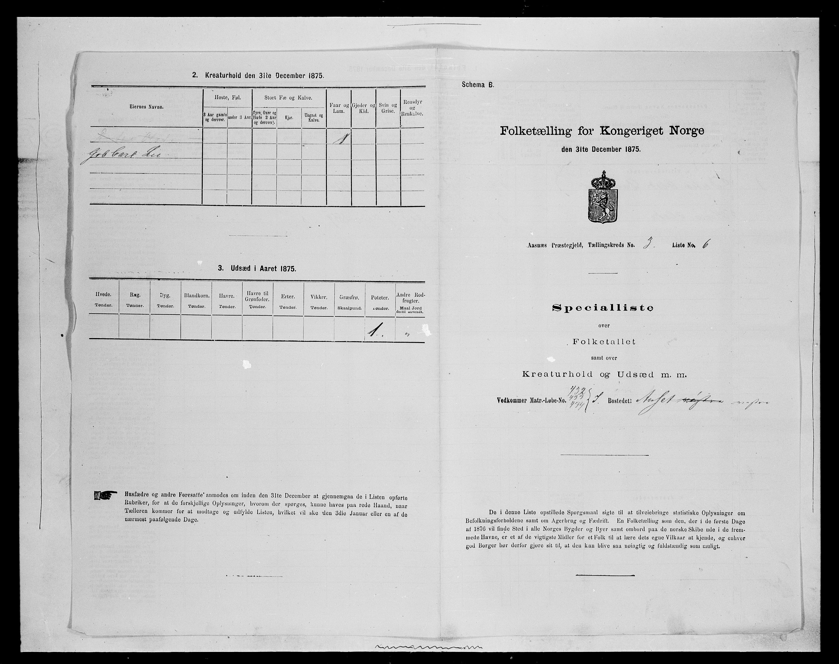 SAH, Folketelling 1875 for 0425P Åsnes prestegjeld, 1875, s. 316