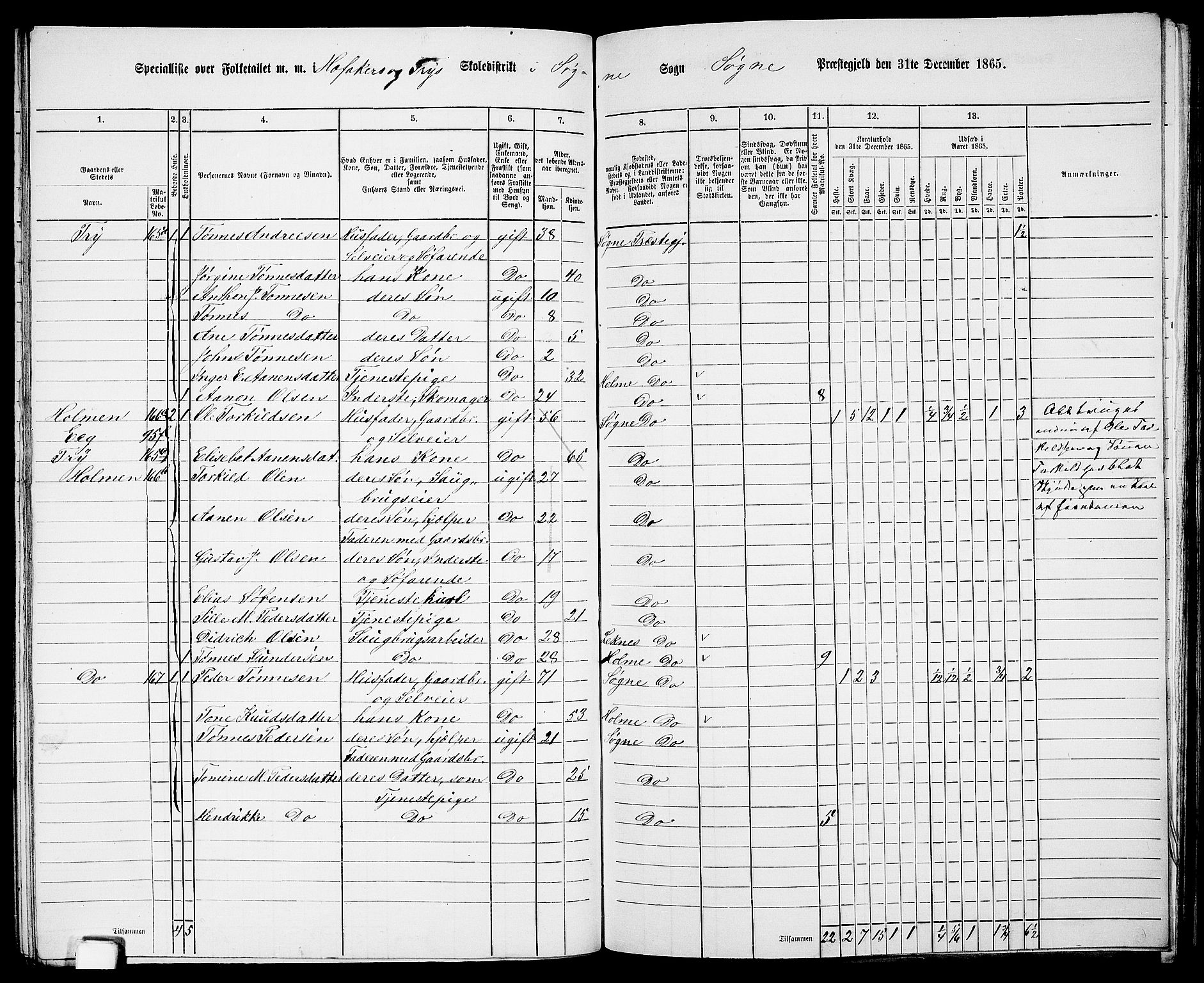 RA, Folketelling 1865 for 1018P Søgne prestegjeld, 1865, s. 109