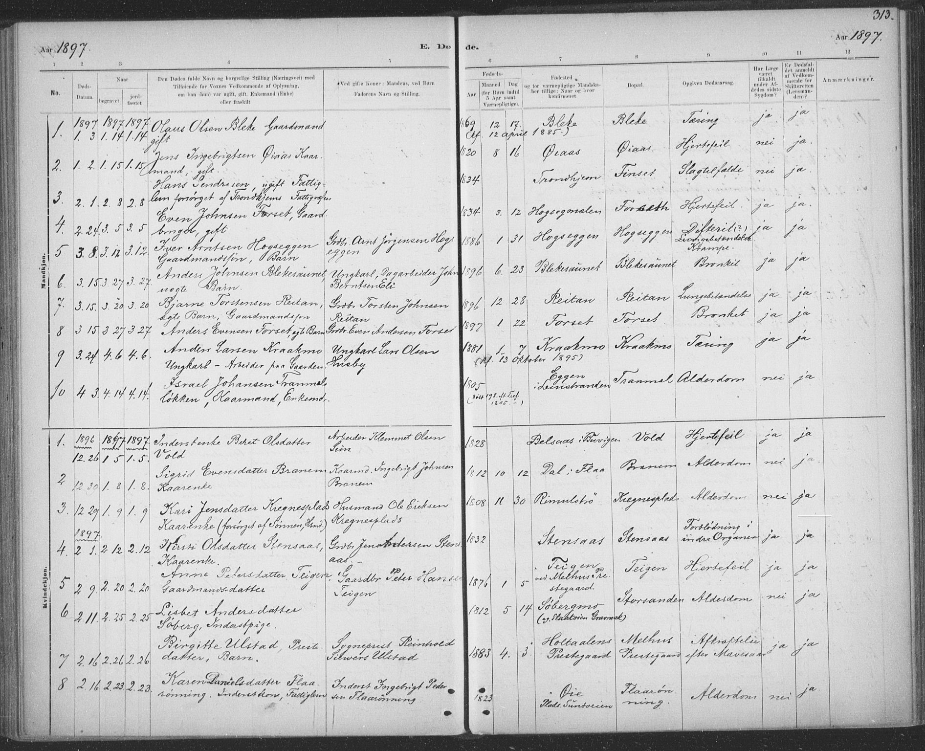 Ministerialprotokoller, klokkerbøker og fødselsregistre - Sør-Trøndelag, SAT/A-1456/691/L1085: Ministerialbok nr. 691A17, 1887-1908, s. 313