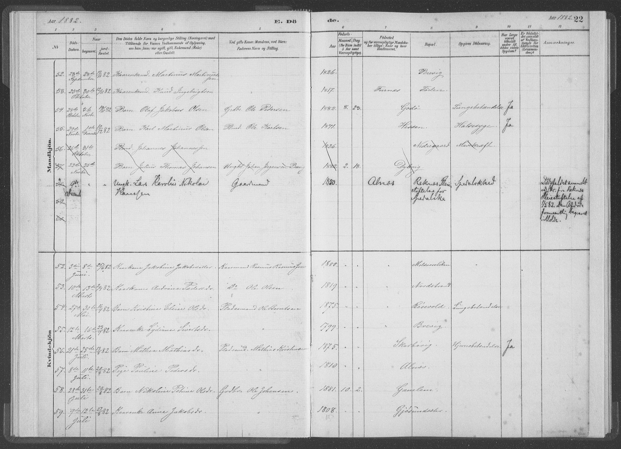 Ministerialprotokoller, klokkerbøker og fødselsregistre - Møre og Romsdal, AV/SAT-A-1454/528/L0403: Ministerialbok nr. 528A13I, 1880-1947, s. 22