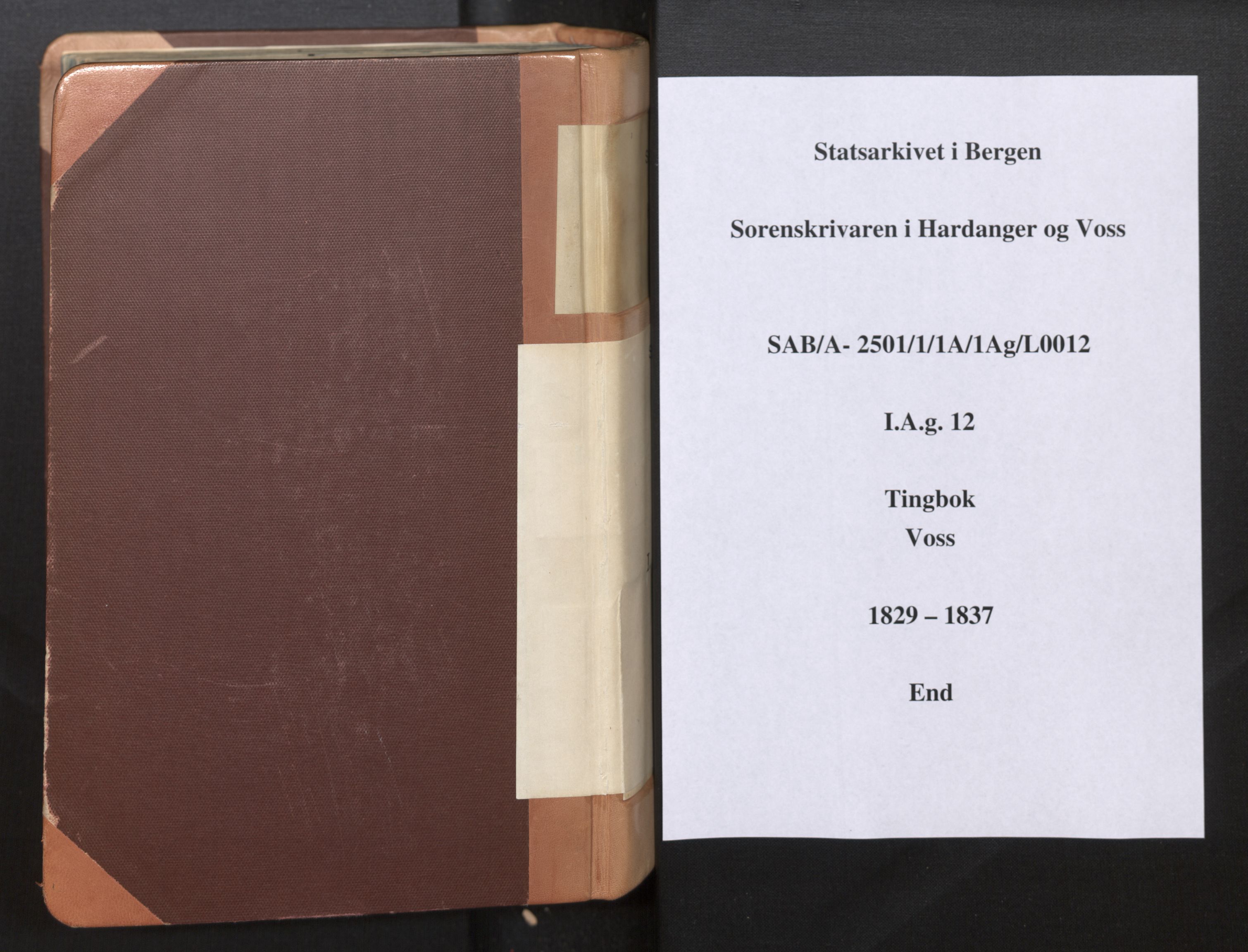 Hardanger og Voss sorenskriveri, AV/SAB-A-2501/1/1A/1Ag/L0012: Tingbok for Voss, 1829-1837