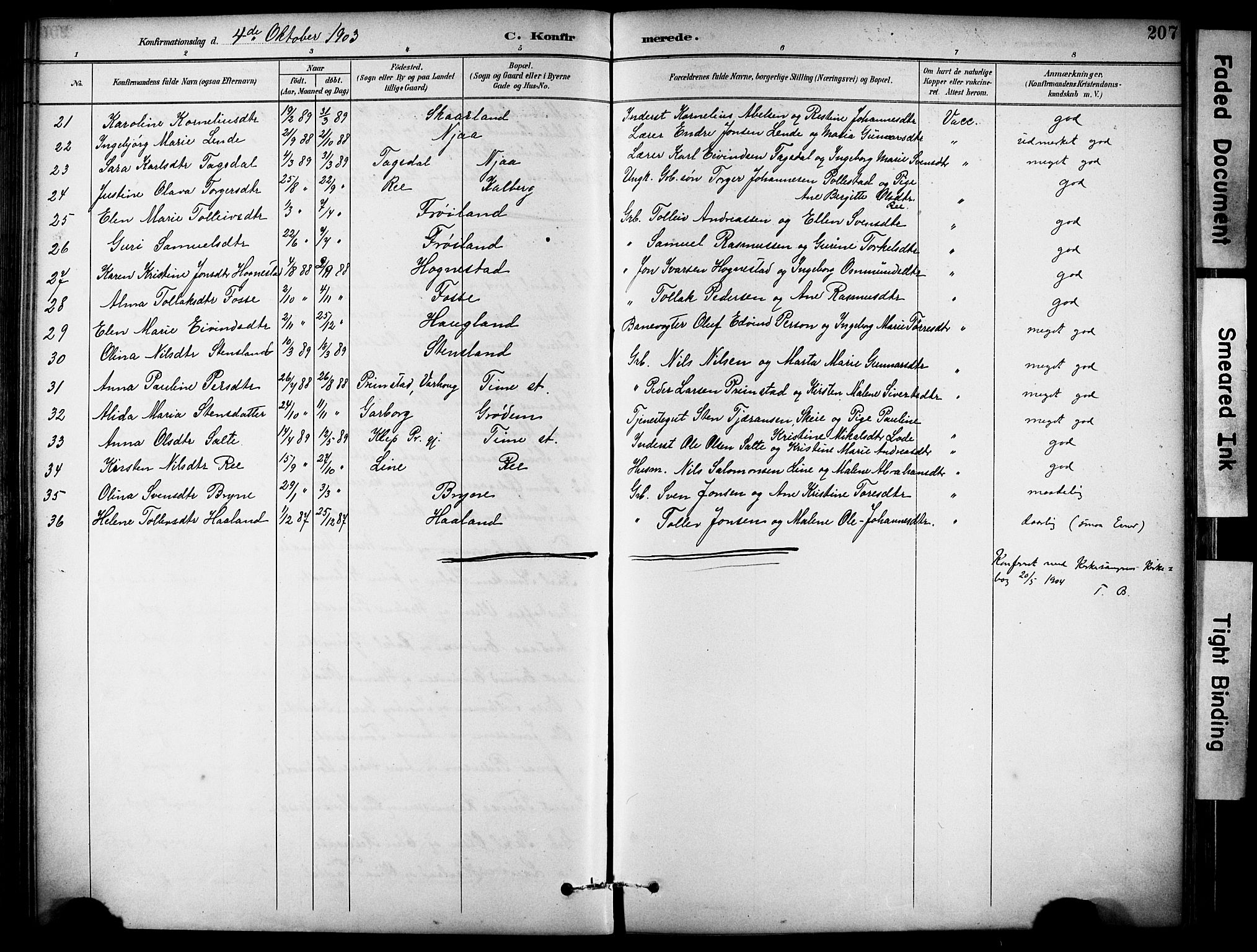 Lye sokneprestkontor, AV/SAST-A-101794/001/30BA/L0011: Ministerialbok nr. A 9, 1893-1903, s. 207