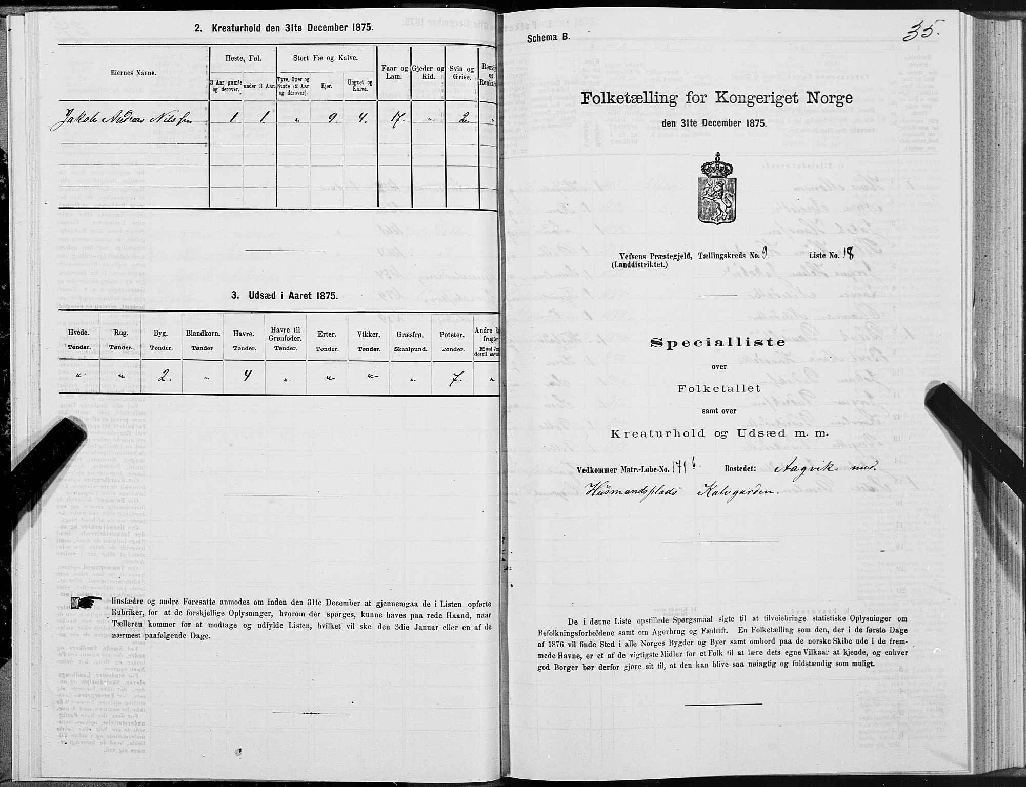 SAT, Folketelling 1875 for 1824L Vefsn prestegjeld, Vefsn sokn, 1875, s. 3035