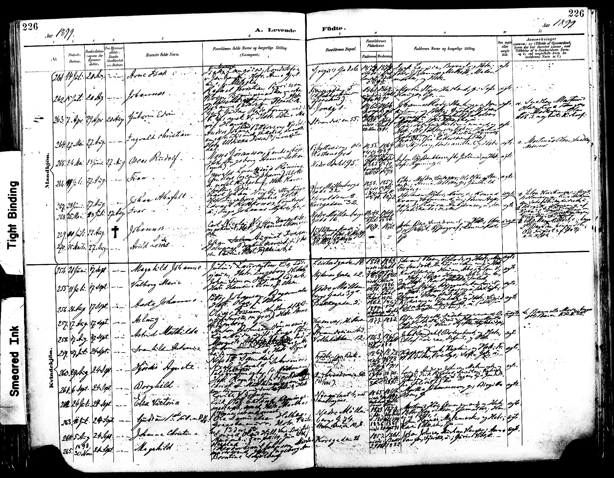 Ministerialprotokoller, klokkerbøker og fødselsregistre - Sør-Trøndelag, SAT/A-1456/604/L0197: Ministerialbok nr. 604A18, 1893-1900, s. 226
