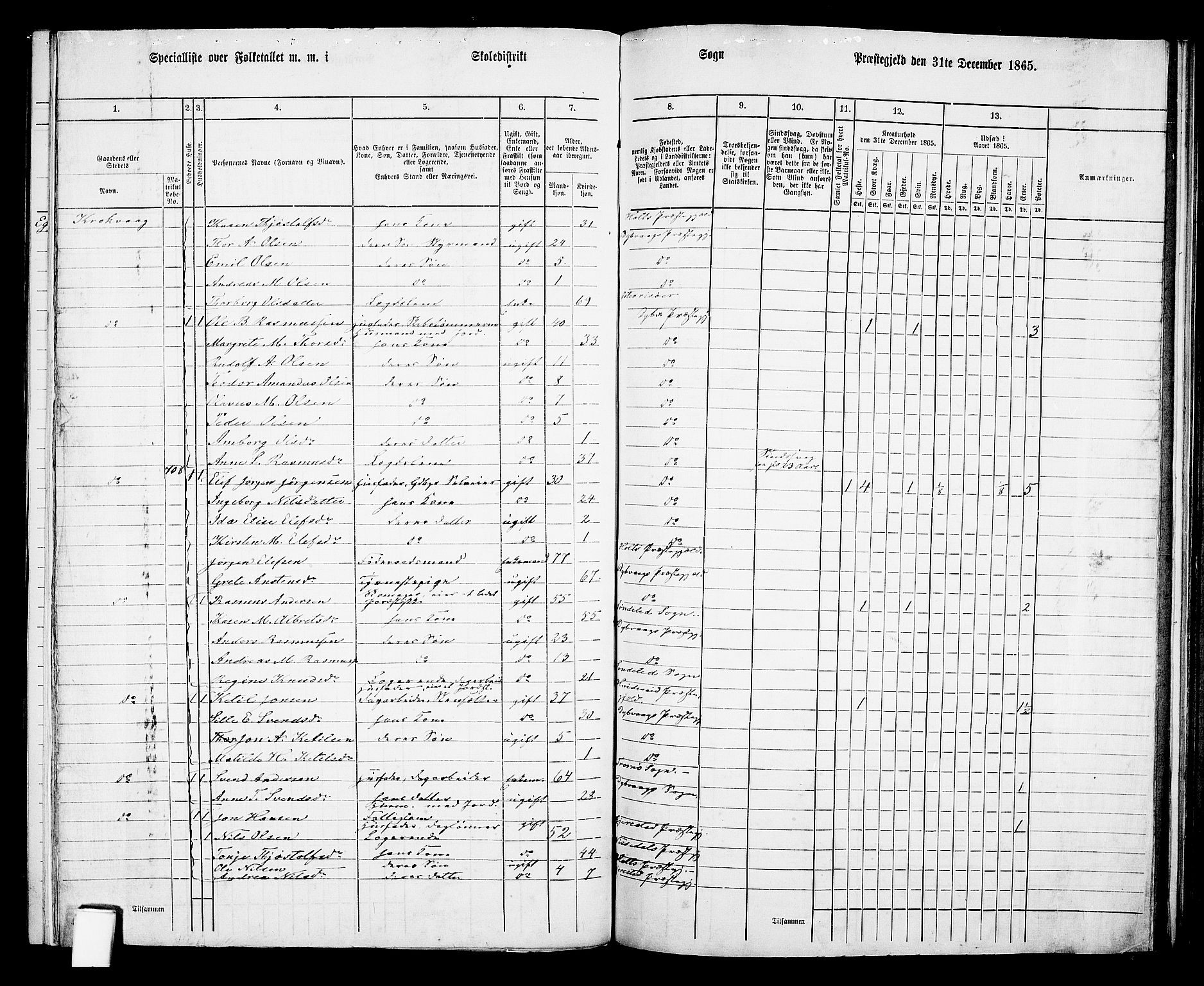 RA, Folketelling 1865 for 0915P Dypvåg prestegjeld, 1865, s. 102