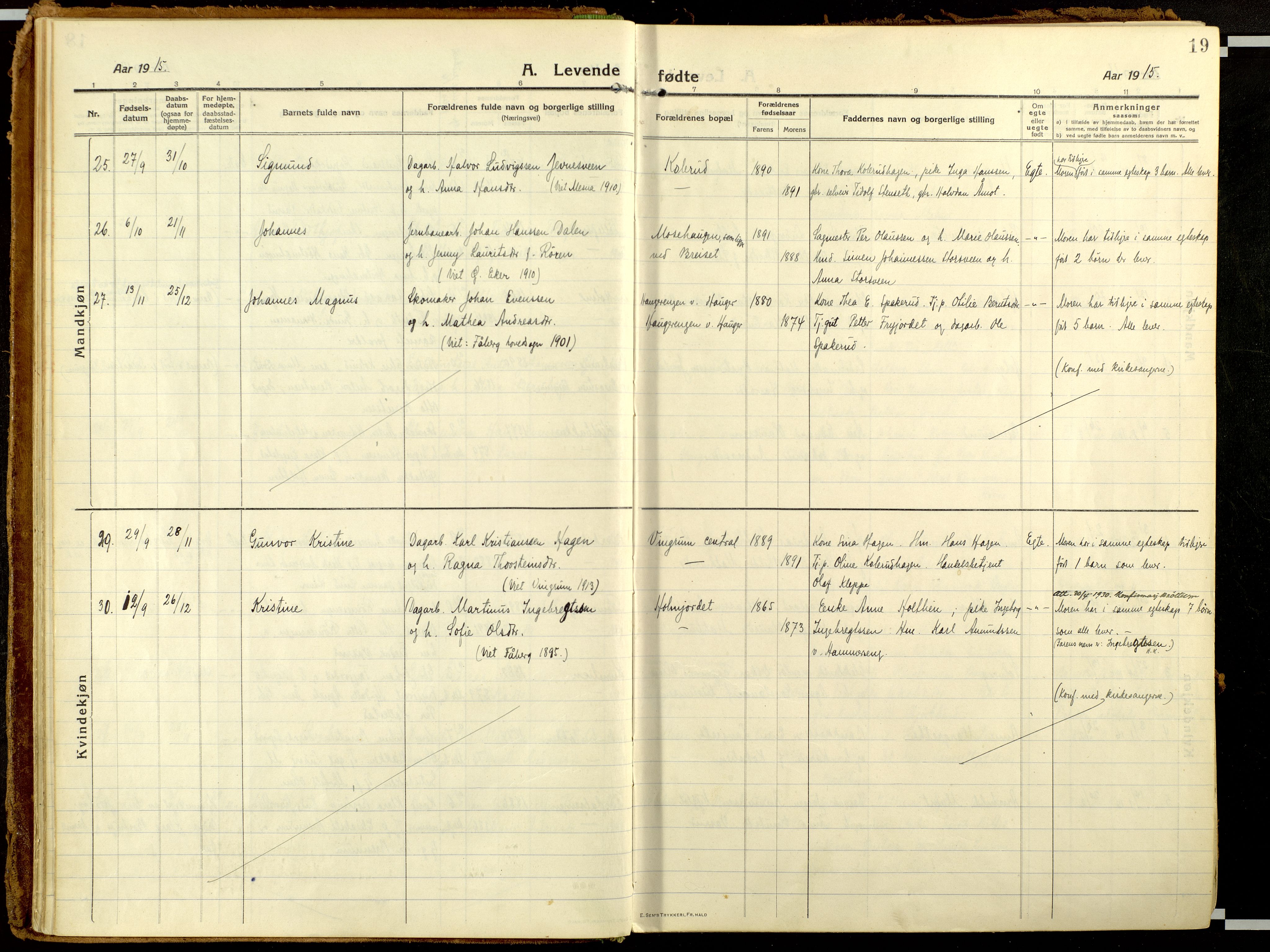 Fåberg prestekontor, AV/SAH-PREST-086/H/Ha/Haa/L0013: Ministerialbok nr. 13, 1913-1928, s. 19