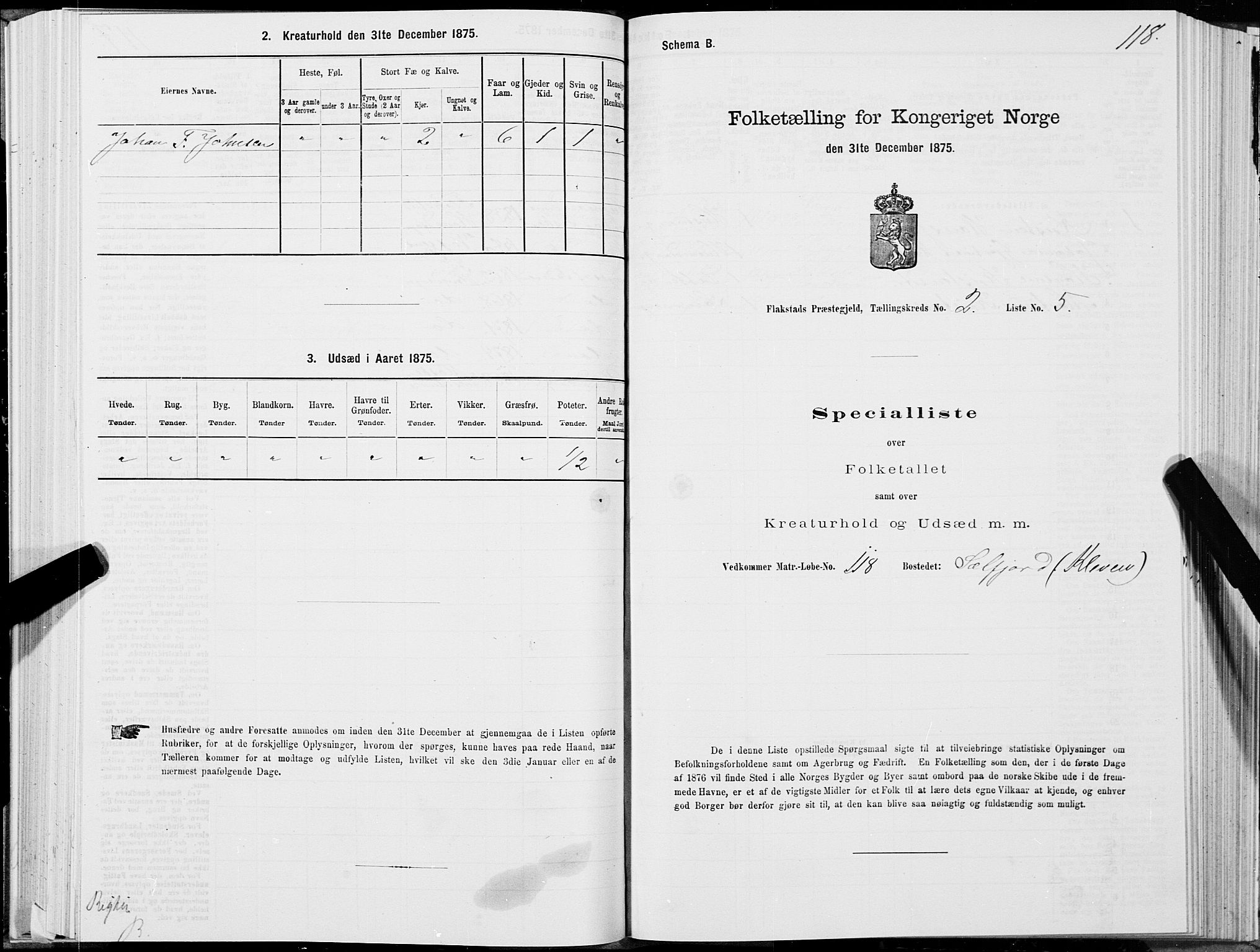 SAT, Folketelling 1875 for 1859P Flakstad prestegjeld, 1875, s. 1118