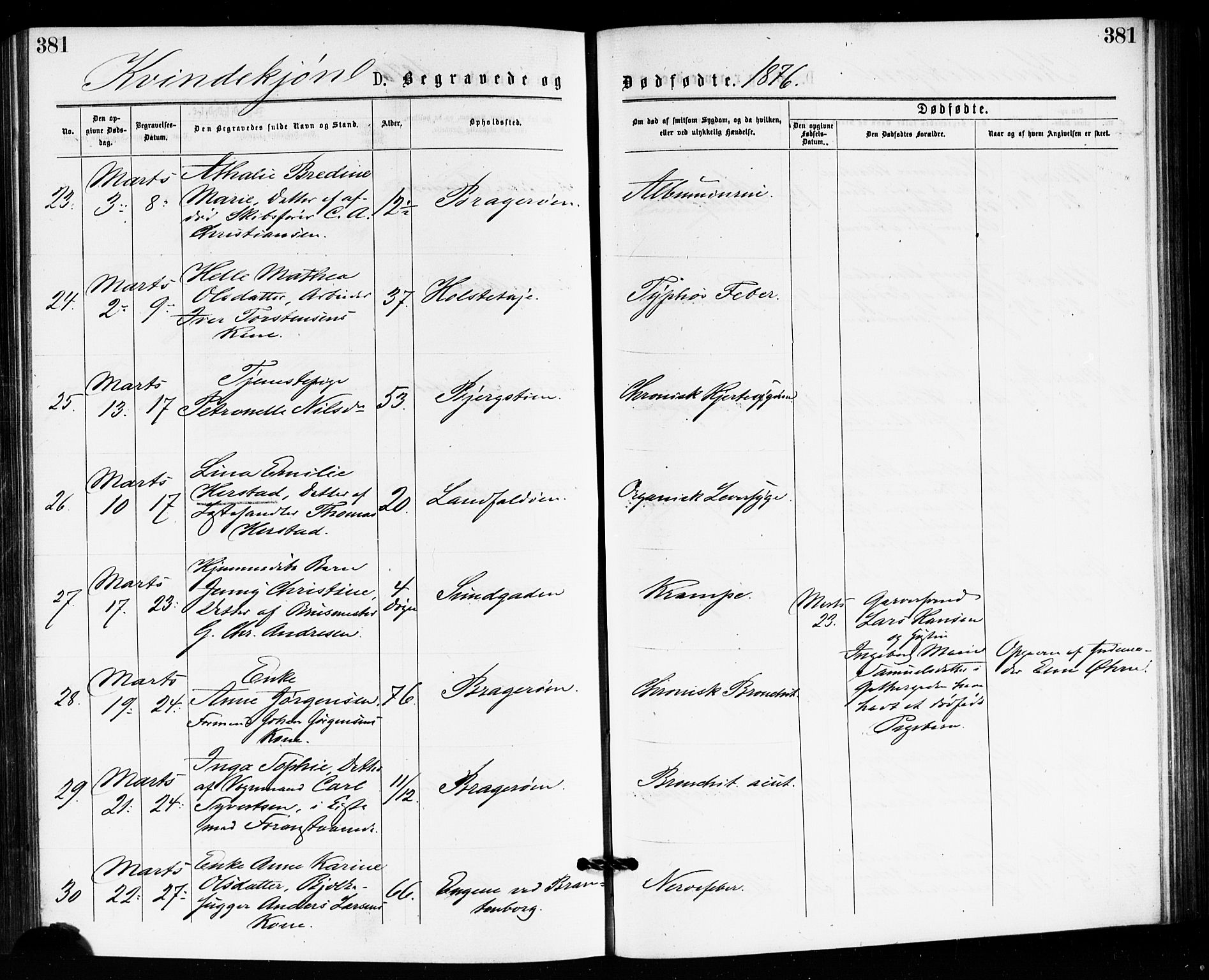 Bragernes kirkebøker, AV/SAKO-A-6/F/Fb/L0005: Ministerialbok nr. II 5, 1875-1877, s. 381